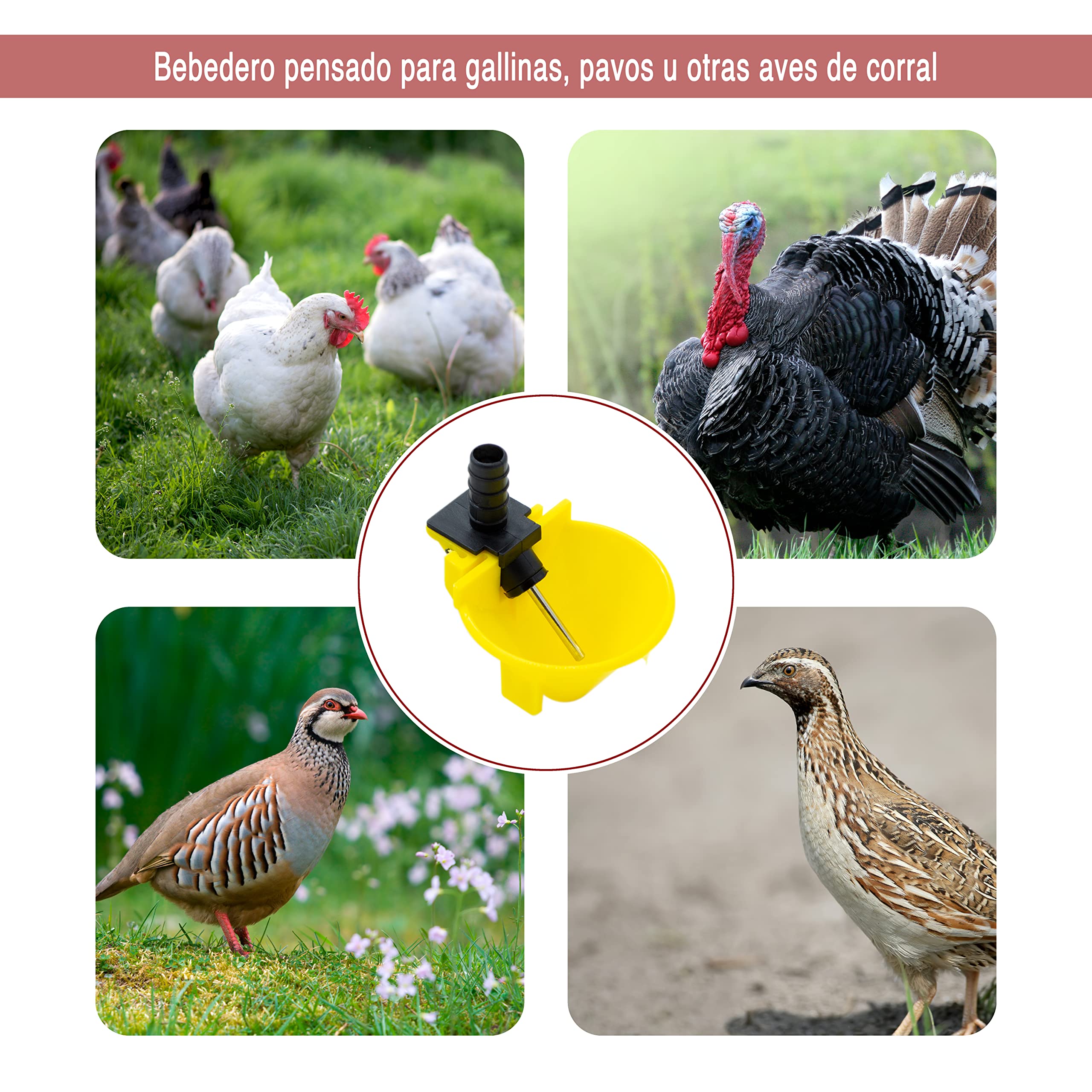 FINCA CASAREJO Pack Bebederos de Cazoleta 8x14mm - Bebederos Automáticos para Aves - Pack de Bebederos en Plástico Muy Resistente (6)