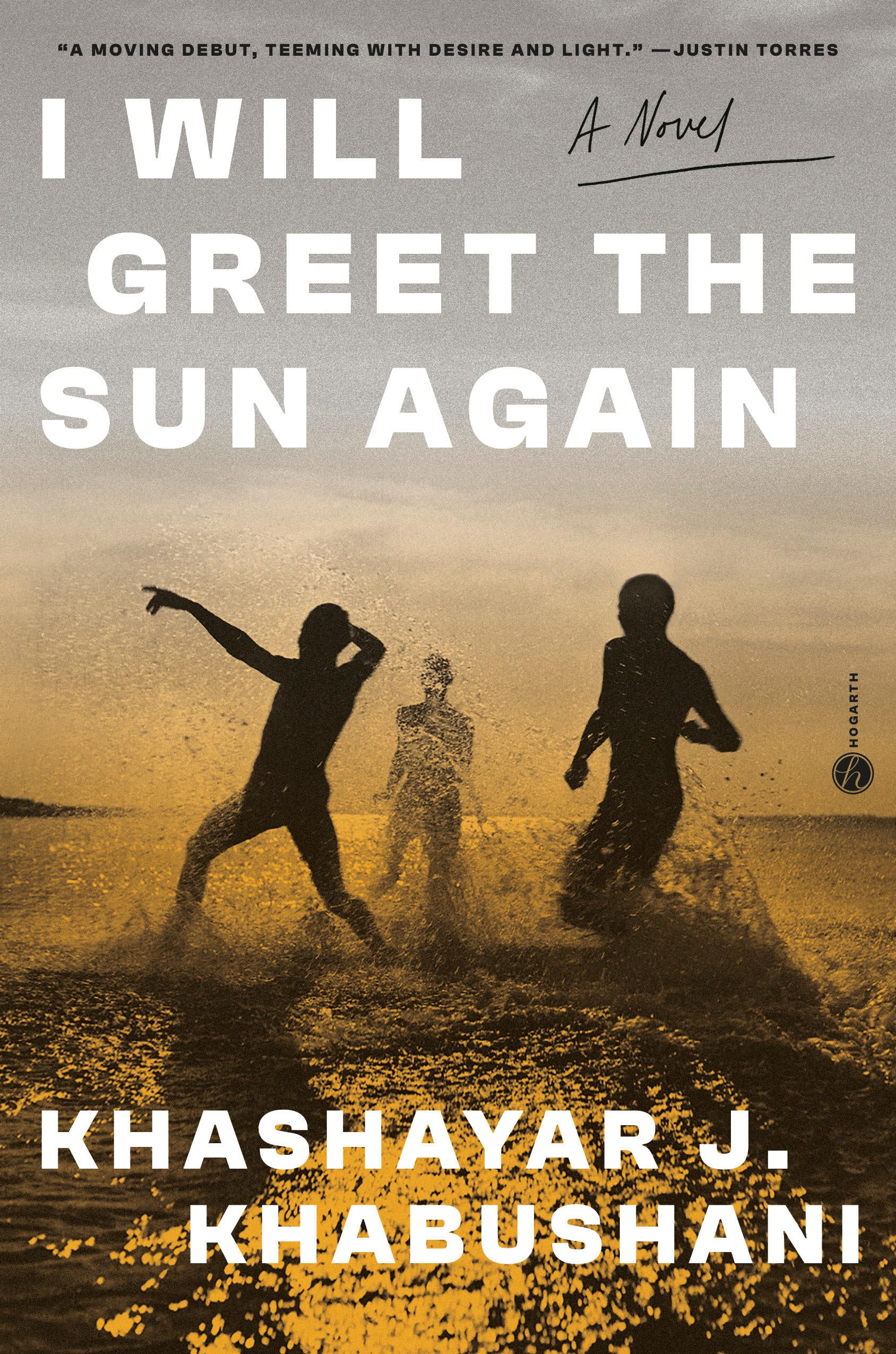 Buy I WILL GREET THE SUN AGAIN: A Novel — BookShops.in