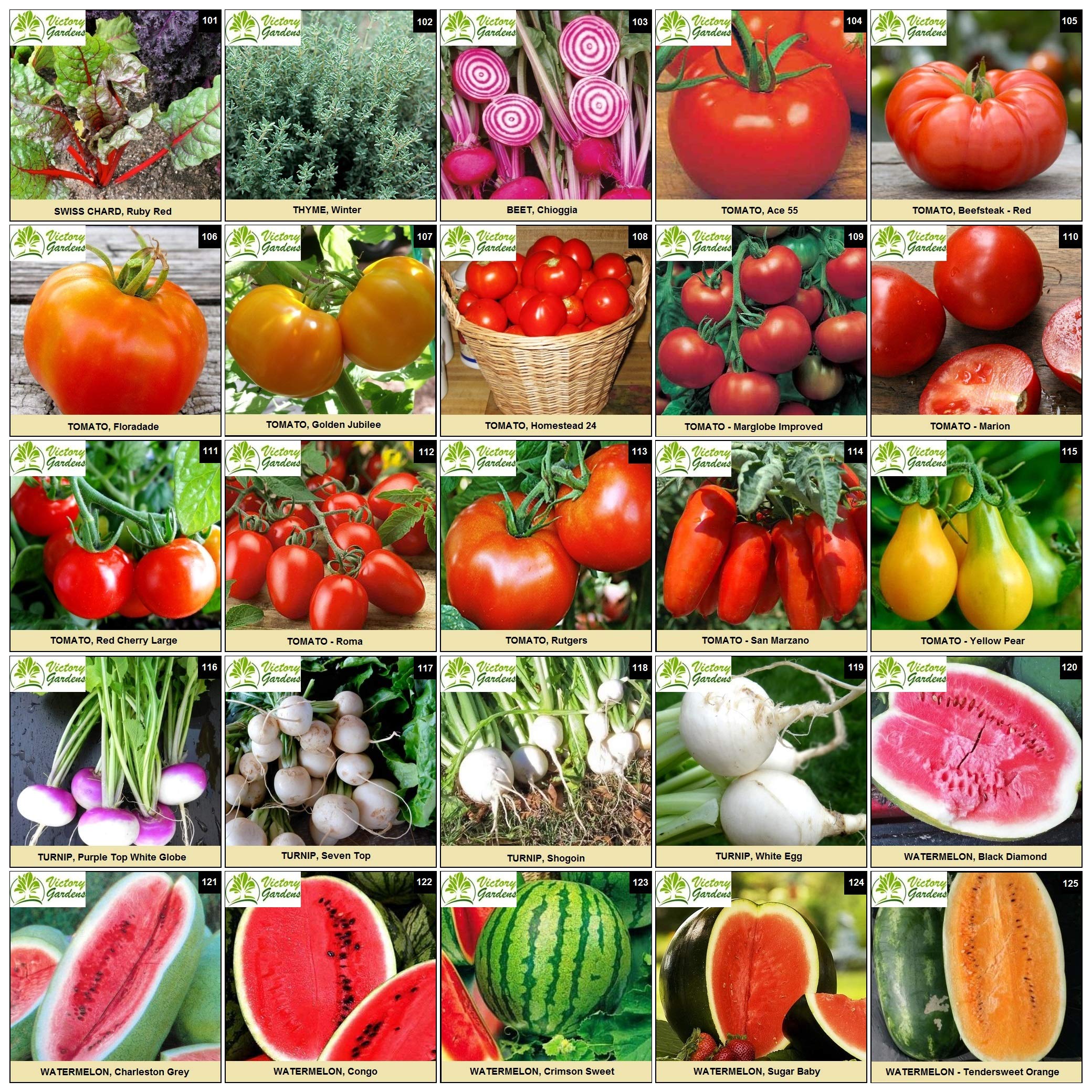 Buy Garden Seeds Vegetable Variety Pack for Planting Grow 125