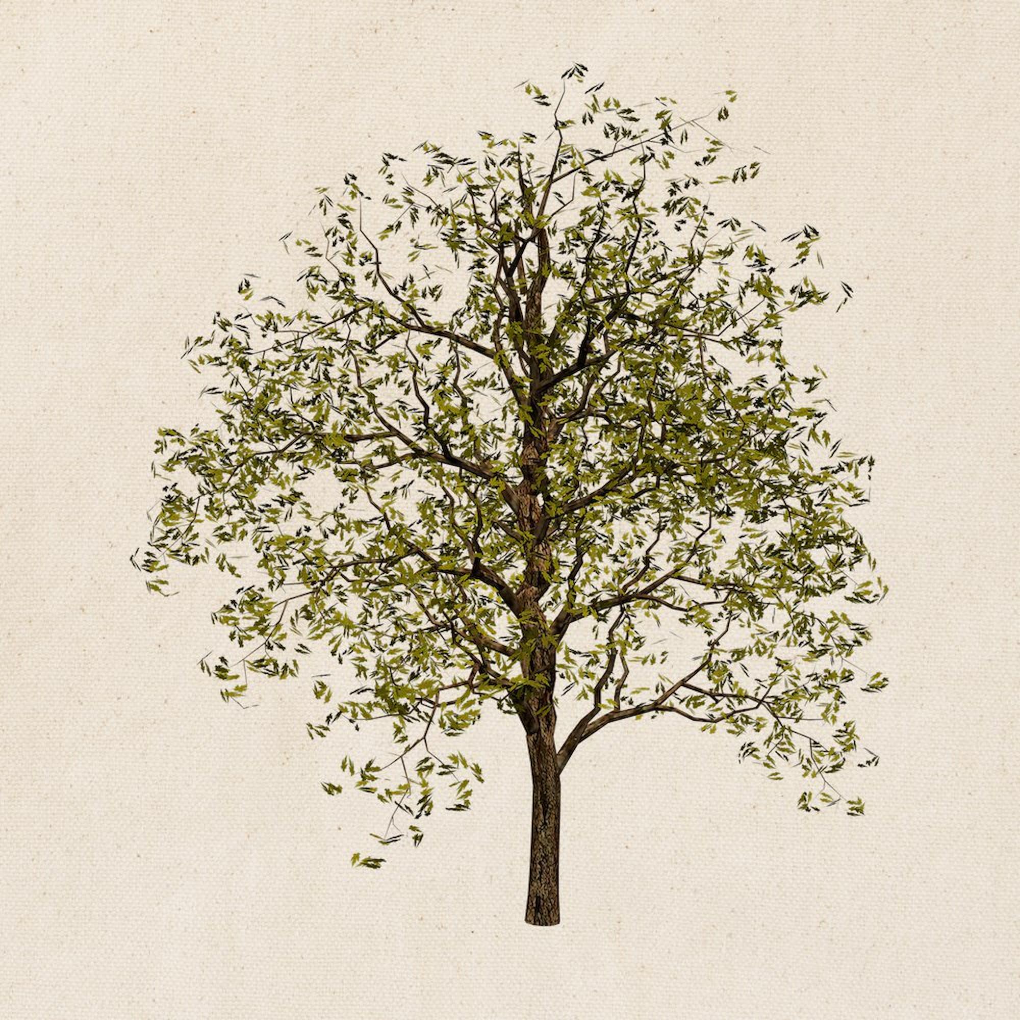 CafePress Simple Tree Tote Bag Natural Canvas Tote Bag, Reusable Shopping Bag