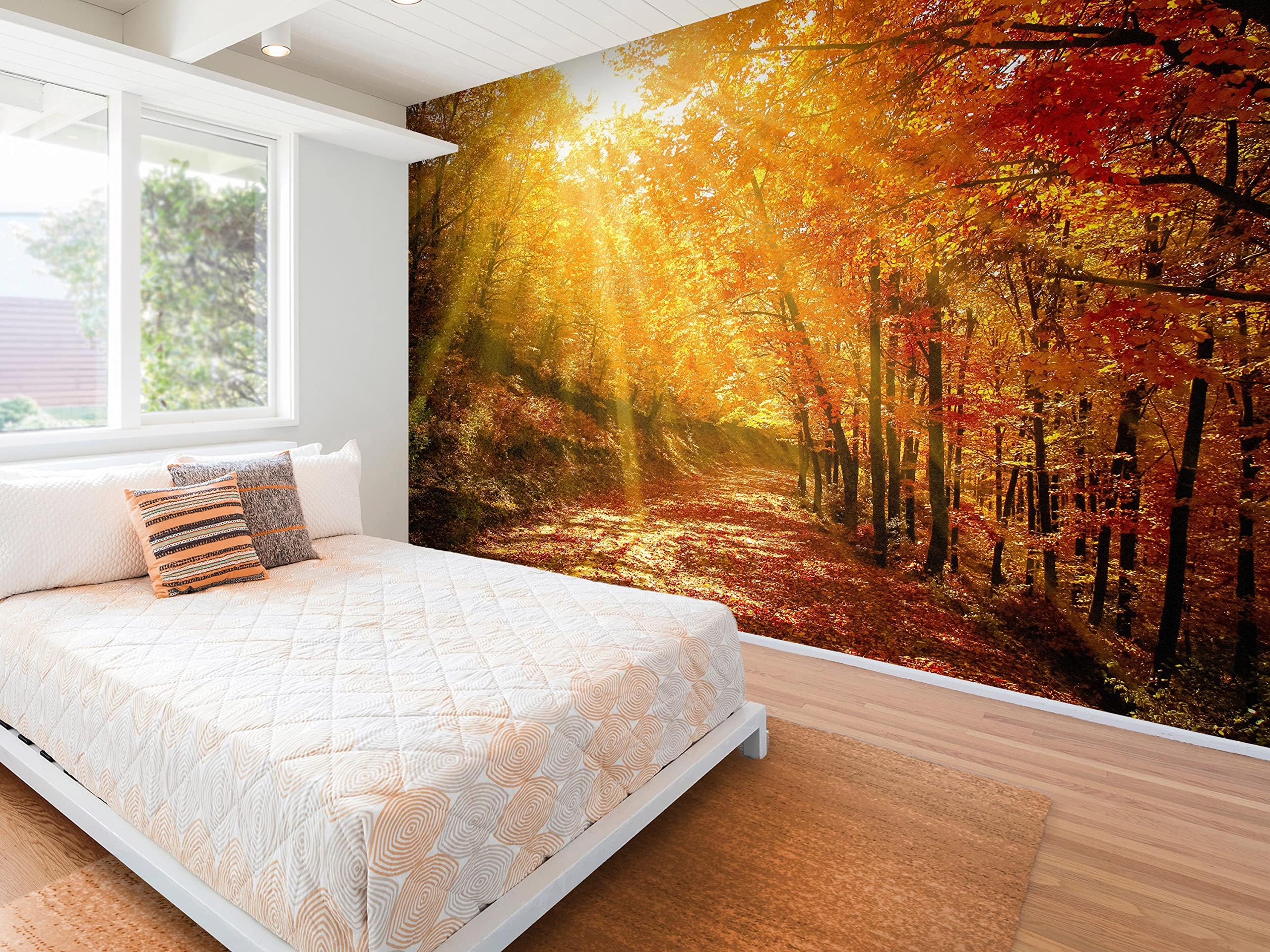 Amazon.com: Maple Forest Wall Mural Decal, Maple Leaf Sunshine