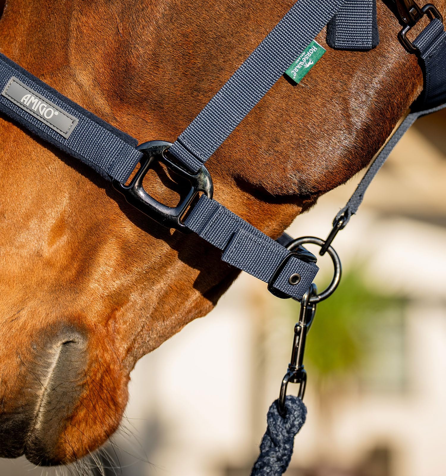 Horseware® Amigo® Halfter & Führstrick Set