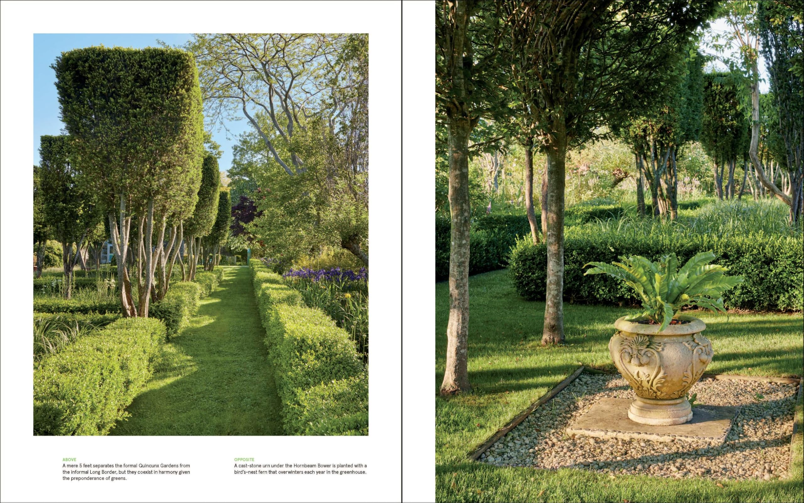 Madoo: The Making of an American Garden