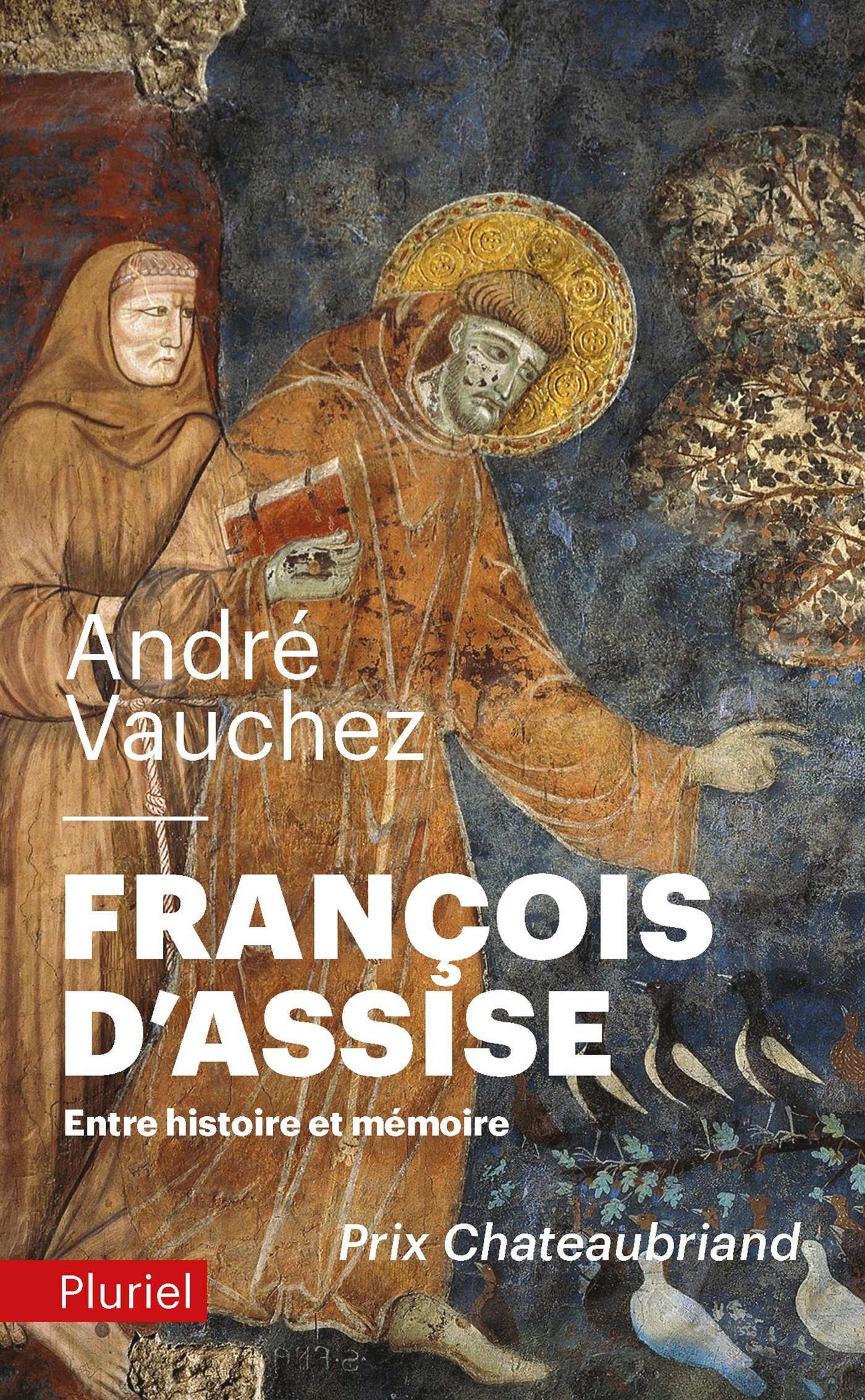 François d'Assise: Entre histoire et mémoire (Pluriel)