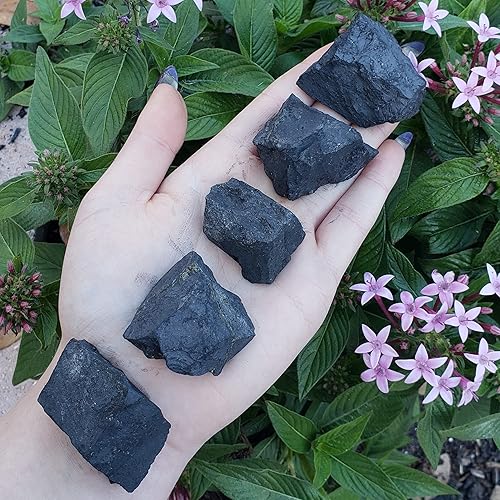 Miniatura 3 de Shungite de Rusia - Piedra preciosa natural curativa de cristal crudo y curativo coleccionable, 2 piezas