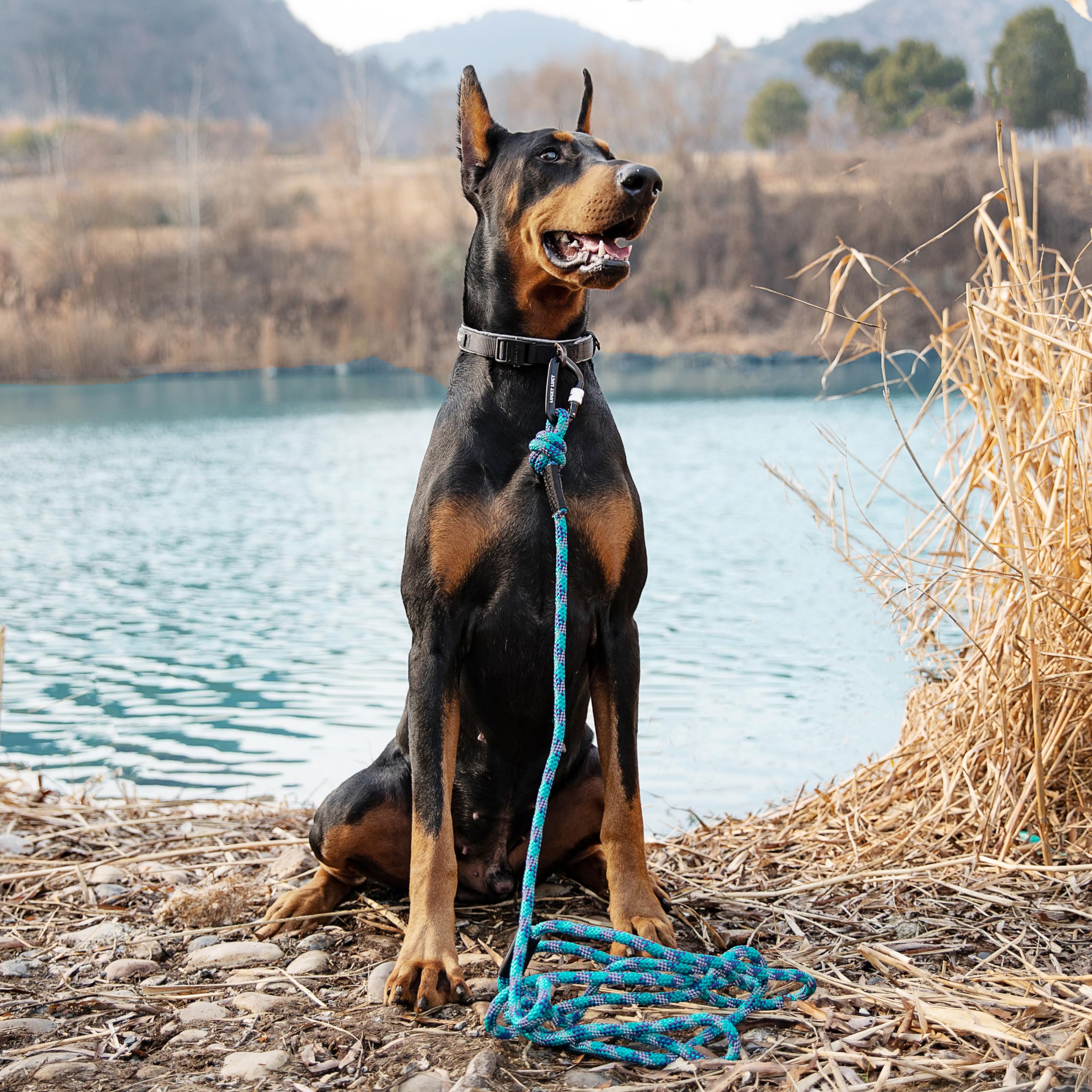 LUCKY LUCY Reflective Dog Lead 2 m Tear-Resistant Polypropylene / Polyester up to 300 kg with Aluminium Carabiner for Medium and Large Dogs Lake Blue - Image 4