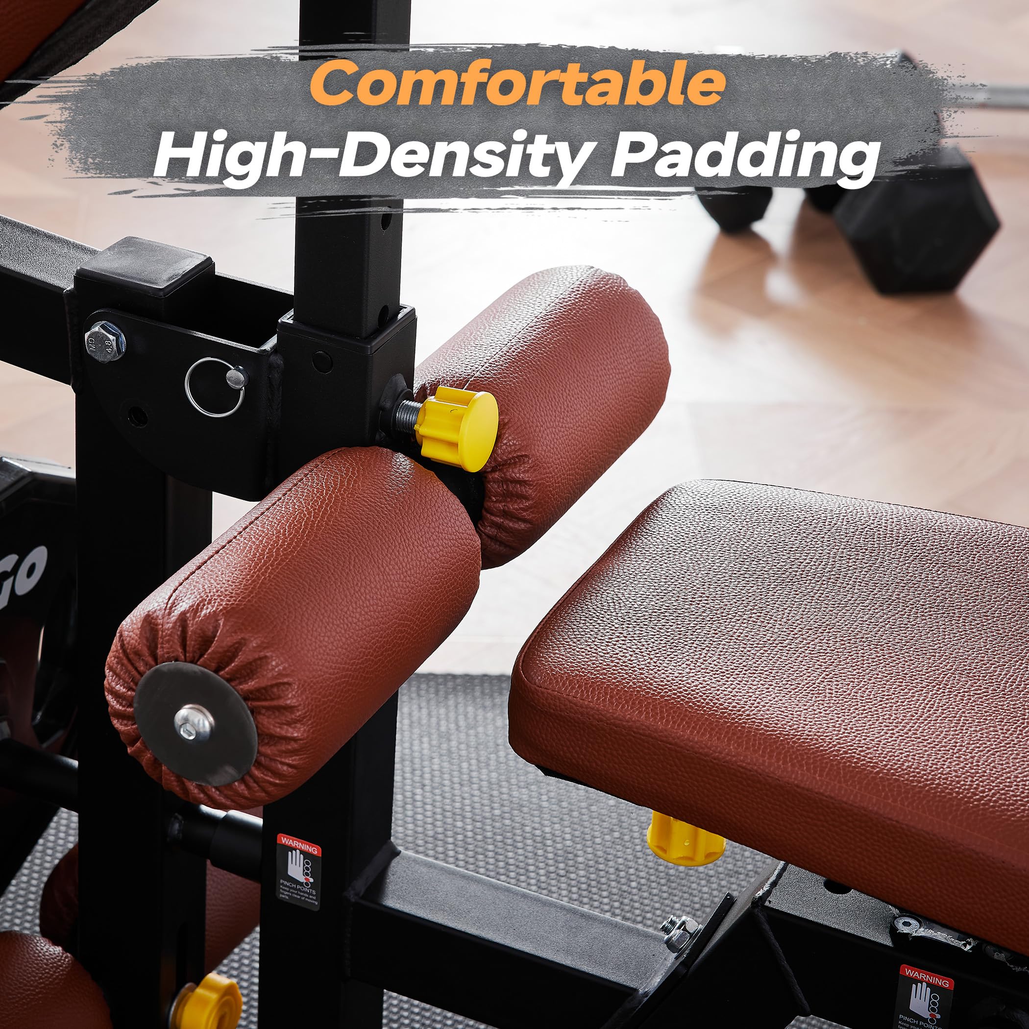 Adjustable Weight Bench with Leg Extension & Preacher Curl Attachment