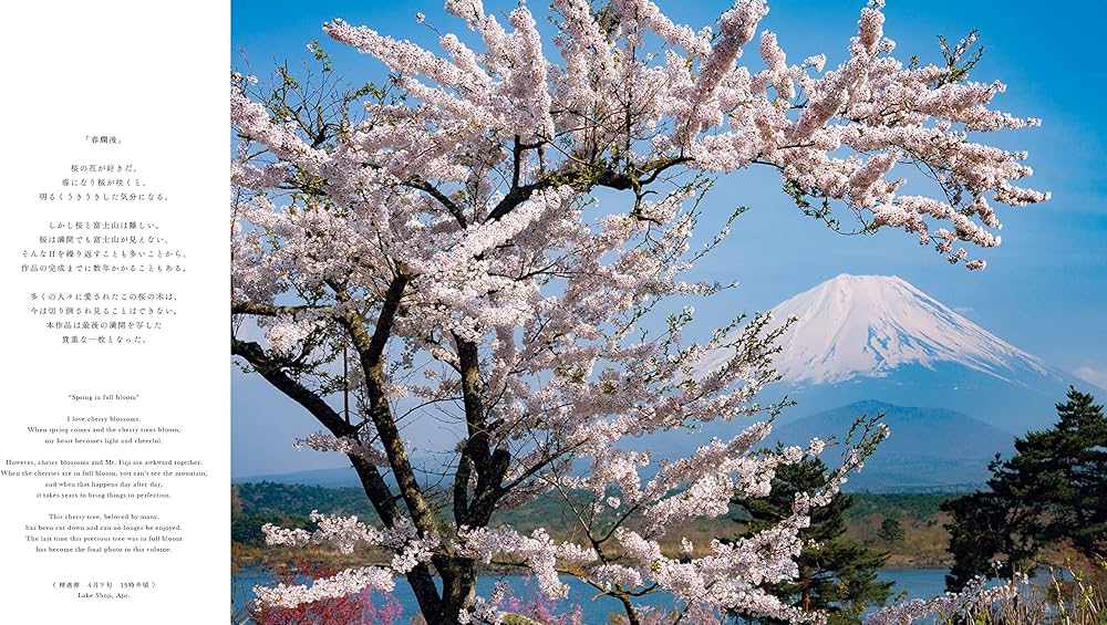Fujiyama)永遠の富士山 | 太田裕史 |本 | 通販 | Amazon