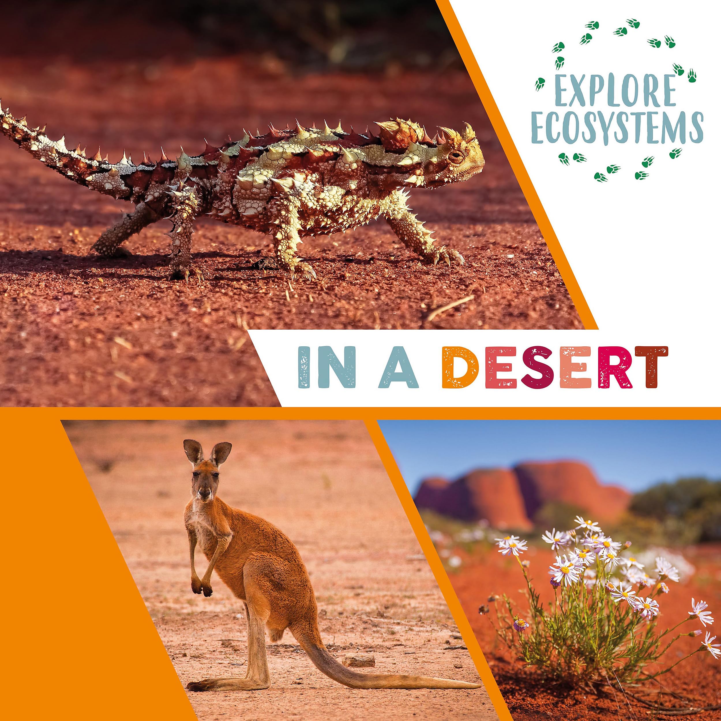 In a Desert (Explore Ecosystems)