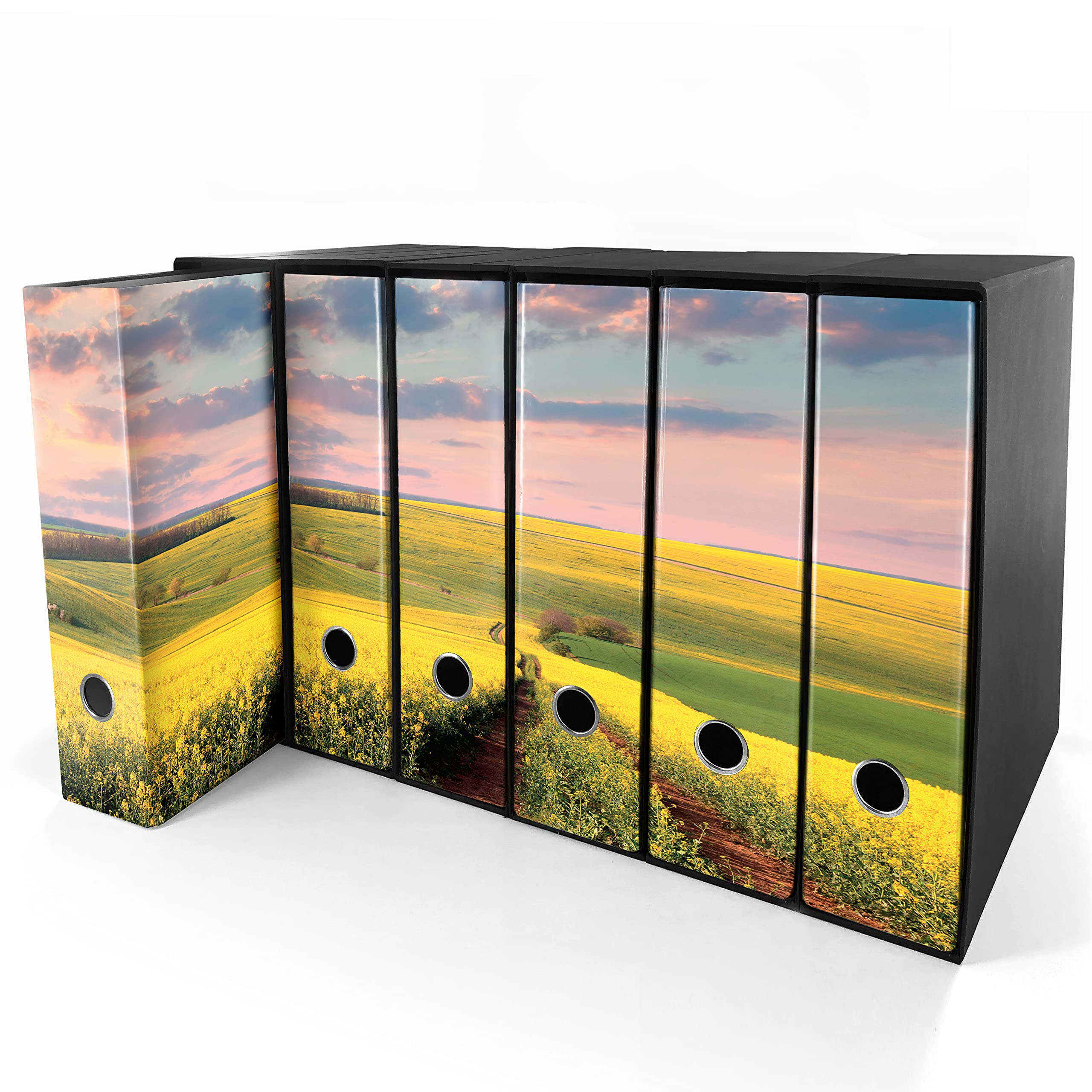 Set da 6 raccoglitori ad anelli - CAMPO FIORITO (H31 cm con 4 anelli)
