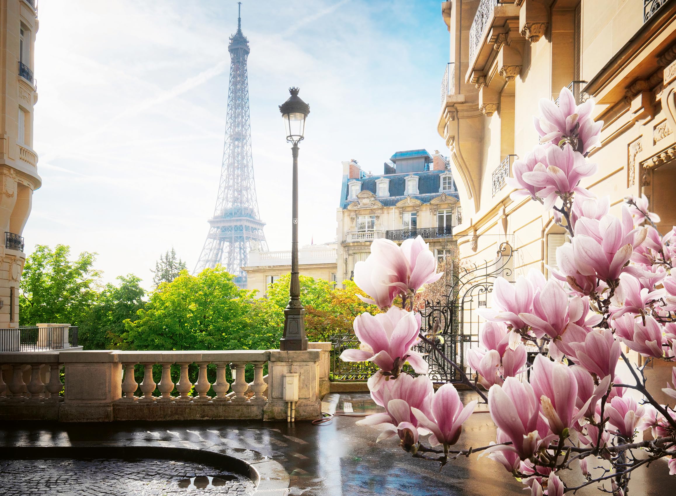 Ravensburger - Puzzle Adulte - Puzzle 500 pièces - Le Printemps à Paris - Adultes et Enfants à partir de 12 Ans - Puzzle de qualité supérieure - Villes & Pays - 12000366