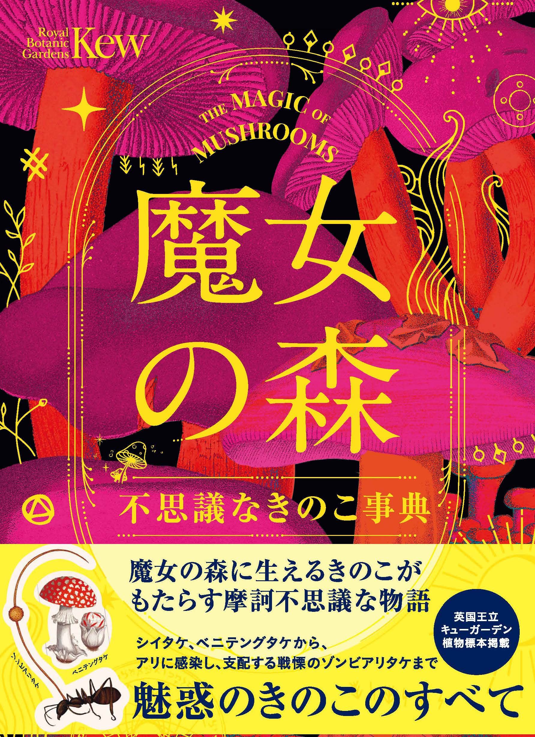 アリスの森魔法キノコ✨ where-is-alice-psychedelic-