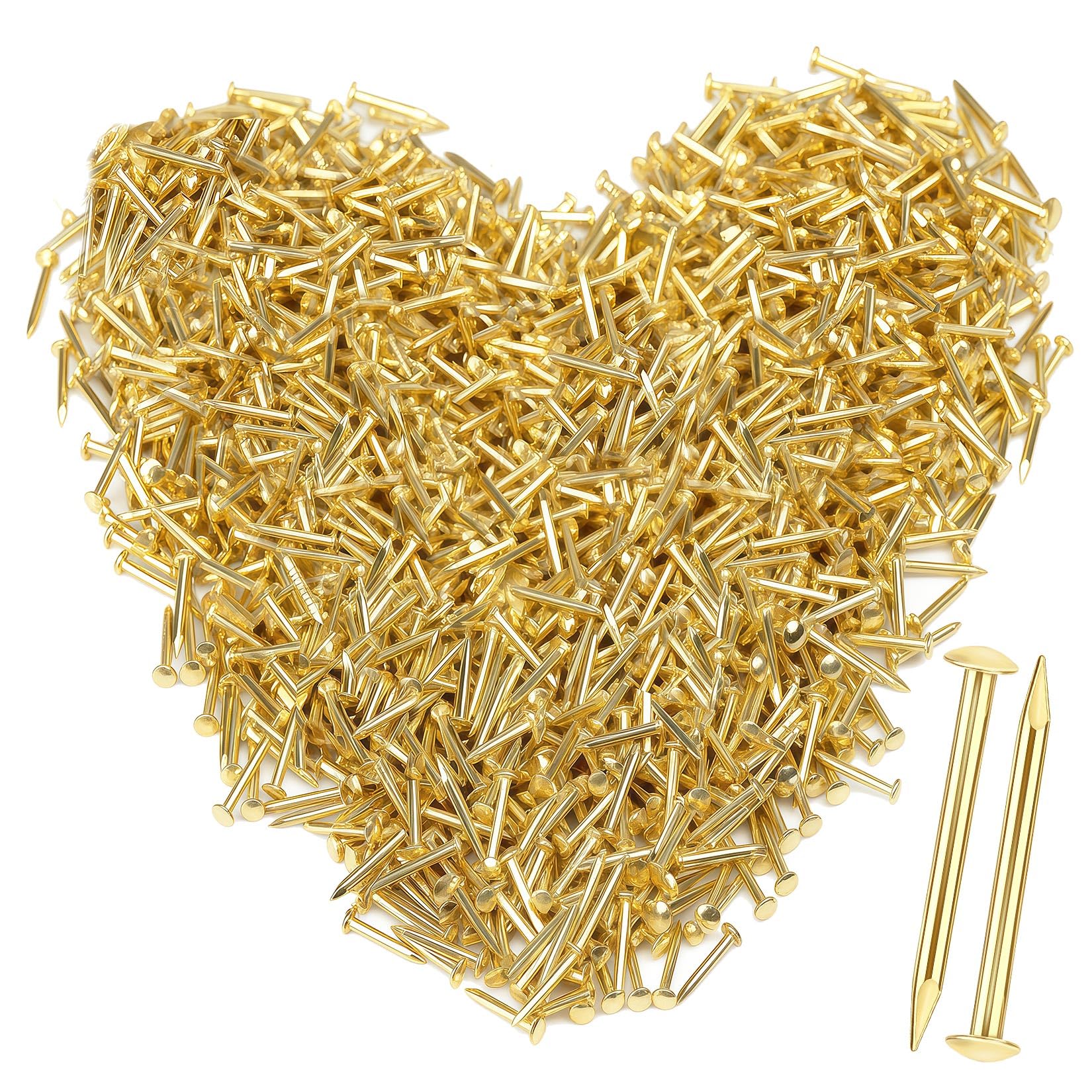 1600 Pezzi Chiodi Dorati a Testa Tonda, Chiodi Piccoli per Appendere Quadri, Set Chiodi in Ottone per Parete, Chiodi per Fai da Te Cornici Montaggio Mobili (Oro)