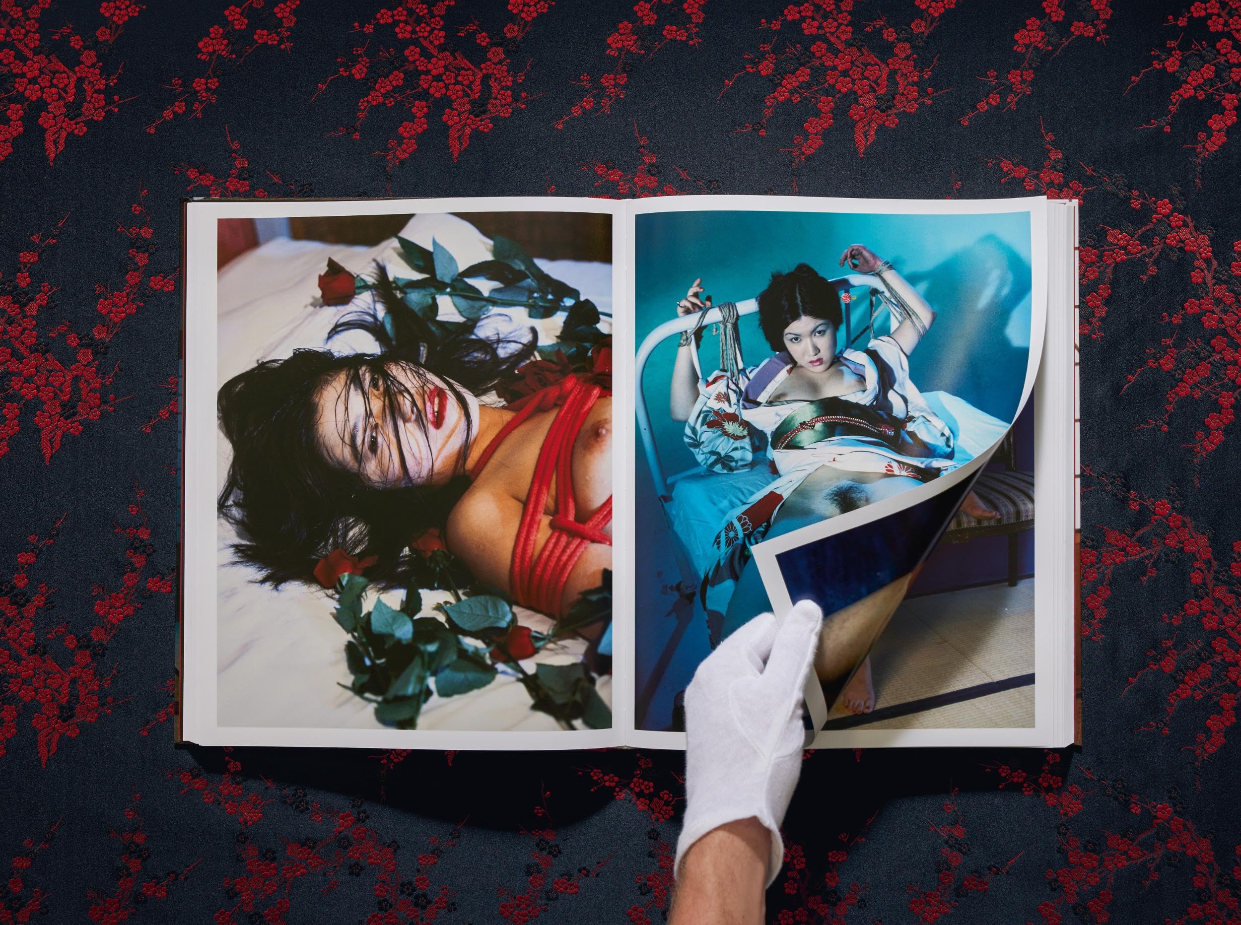 Araki: Bondage