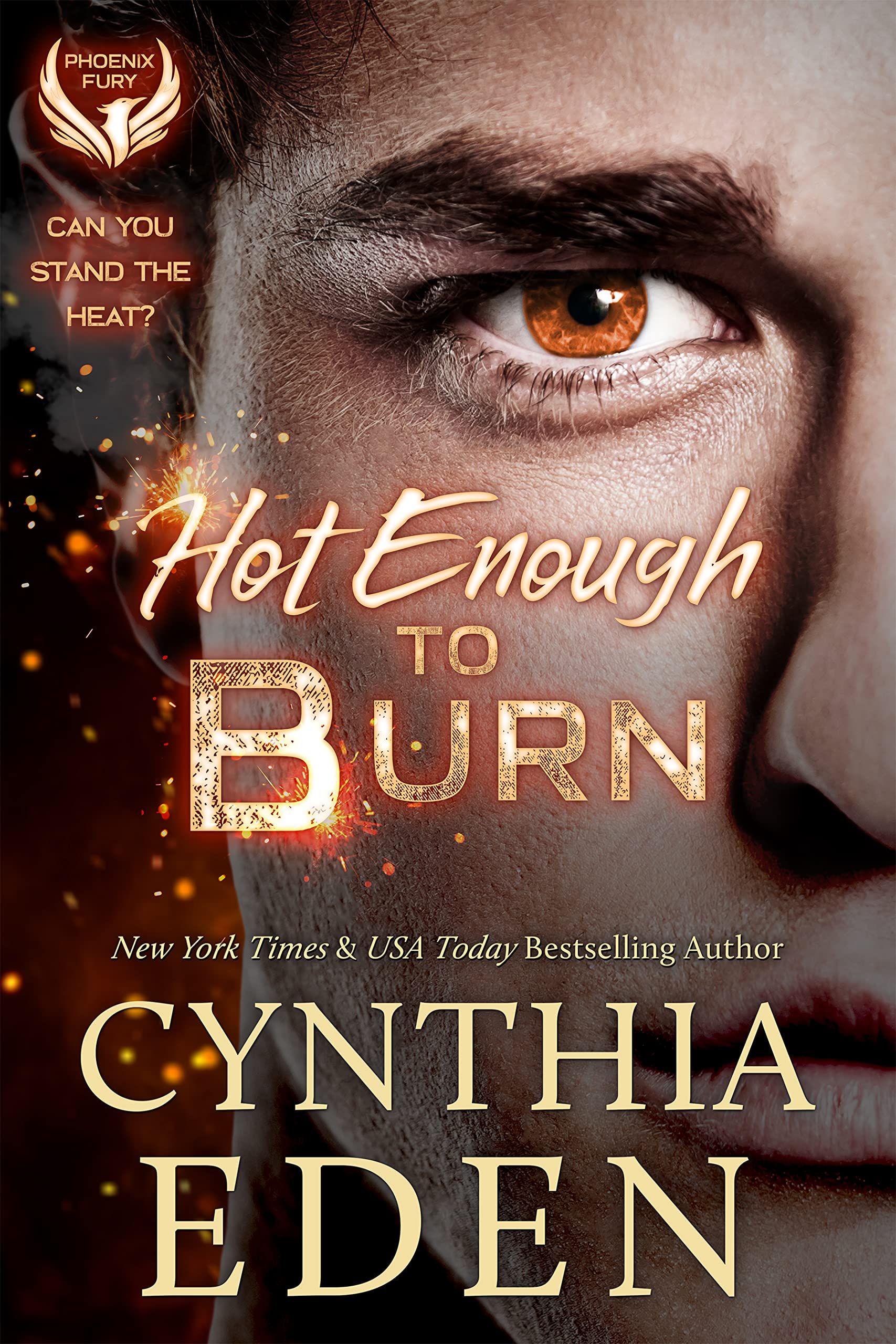 Hot Enough To Burn (Phoenix Fury Book 1)