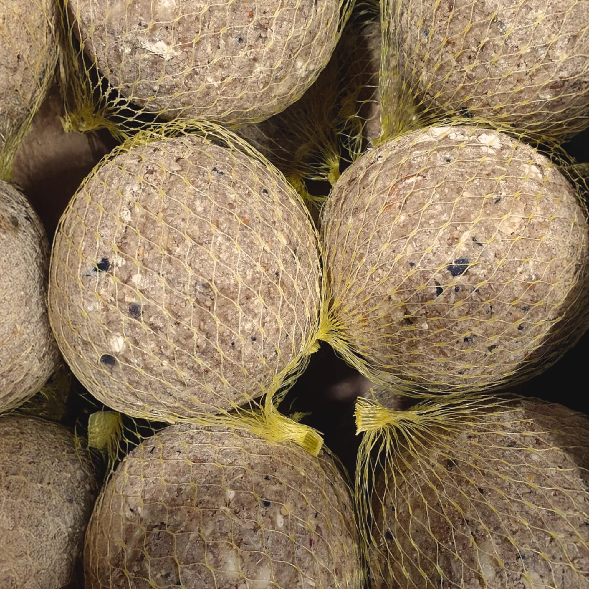 Orni Riesen Meisenknödel mit Insekten 500g | 12 Stück | Leckerer Insektenknödel mit Netz zum Aufhängen | beliebt bei Amseln Meisen und Co | Ganzjahresknödel für Winter, Frühjahr und Sommer