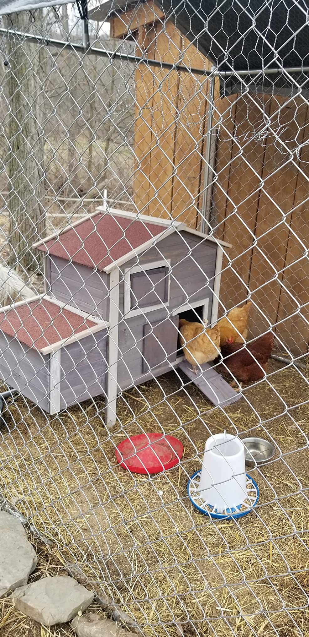 32/mo Finance Magshion 50" Wooden Chicken Coop Hen Bunny Rabbit Hutch Outdoor Poultry House