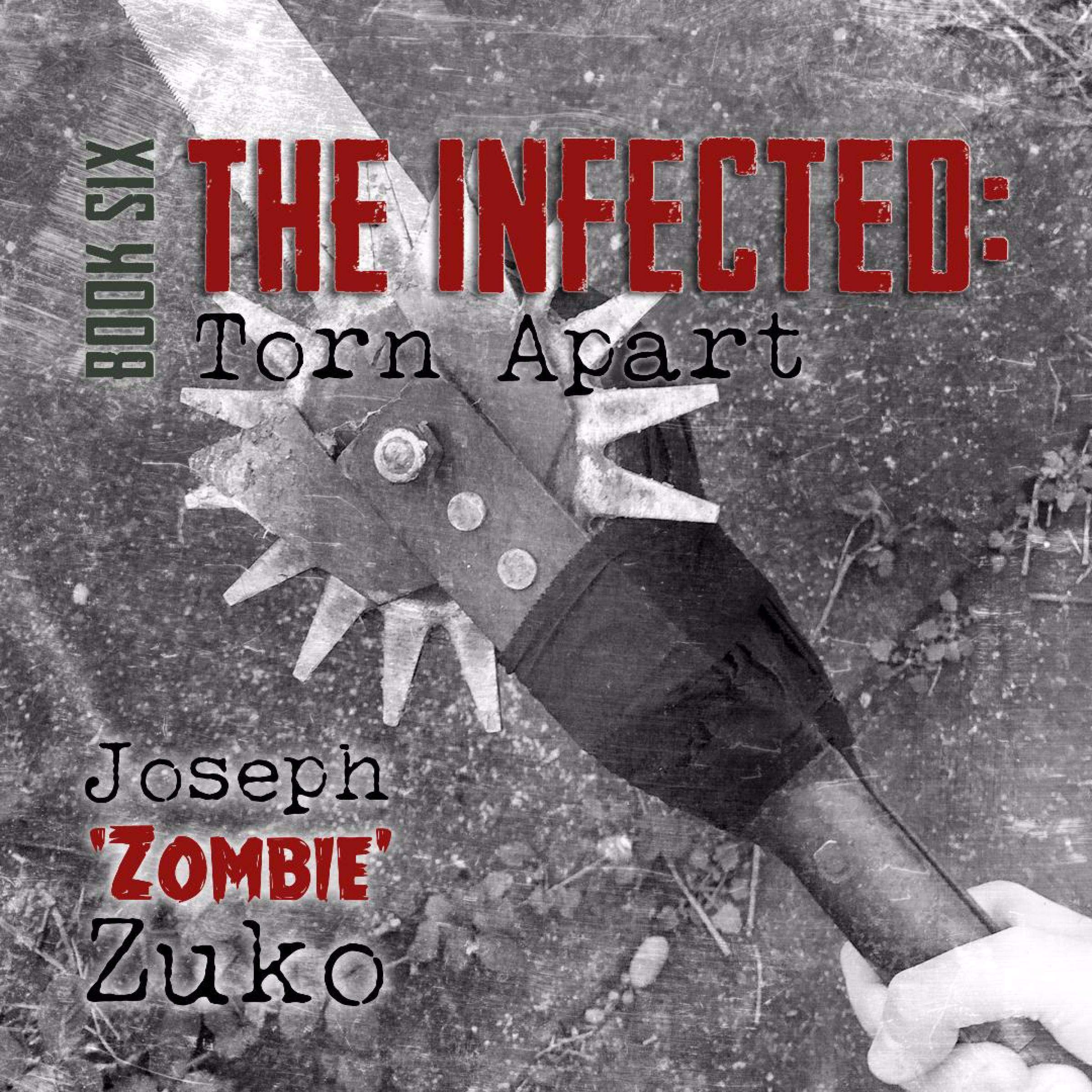 Cover art for The Infected: Torn Apart