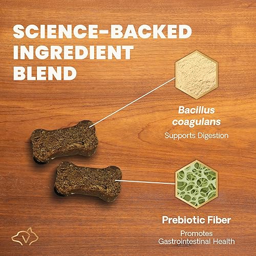 Miniatura 4 de VetriScience Gut Health Chews, suplemento digestivo diario probiótico para perros, apoyo a la digestión, gases y diarrea, apoyo inmunológico, 1 mil