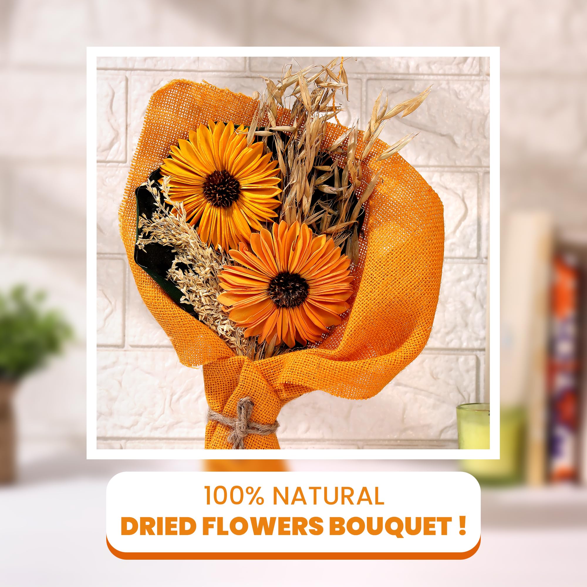 Eternal Blooms Sunlit Bloom : Amazon.in: Home & Kitchen