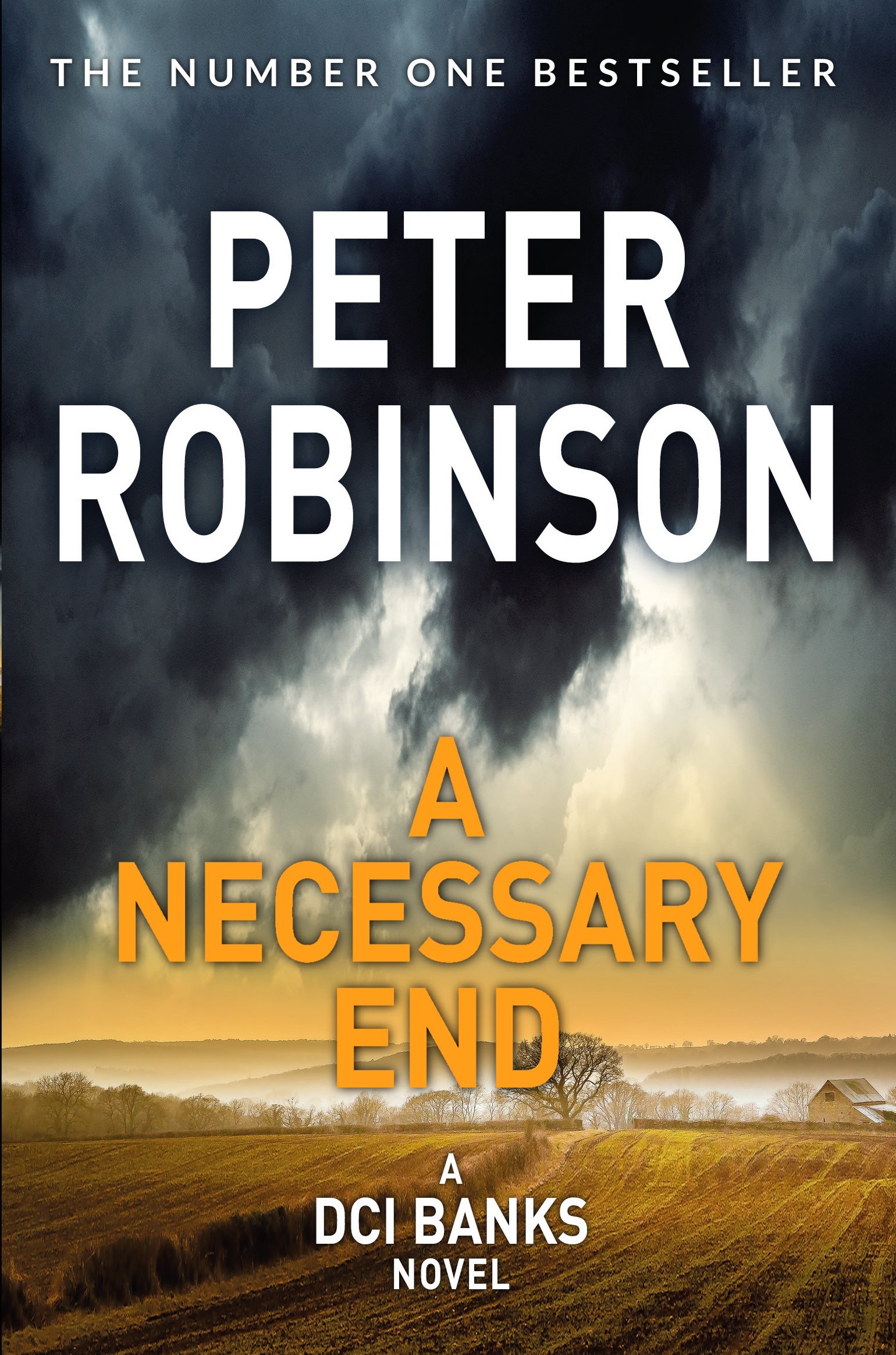 A Necessary End: Book 3 in the number one bestselling Inspector Banks series (The Inspector Banks series, 3)