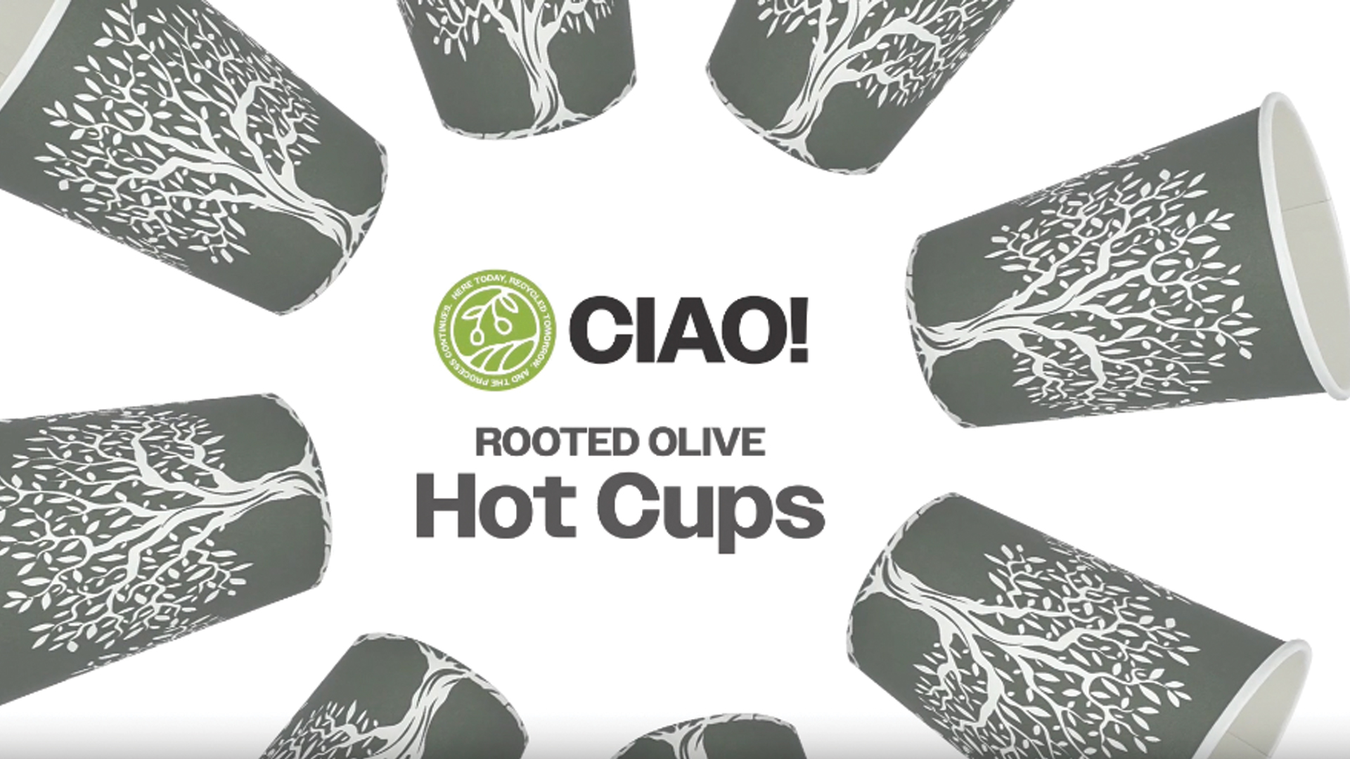 Amazon.com: CIAO! 8oz Paper Hot Cup, Rooted Olive Print, (Case of