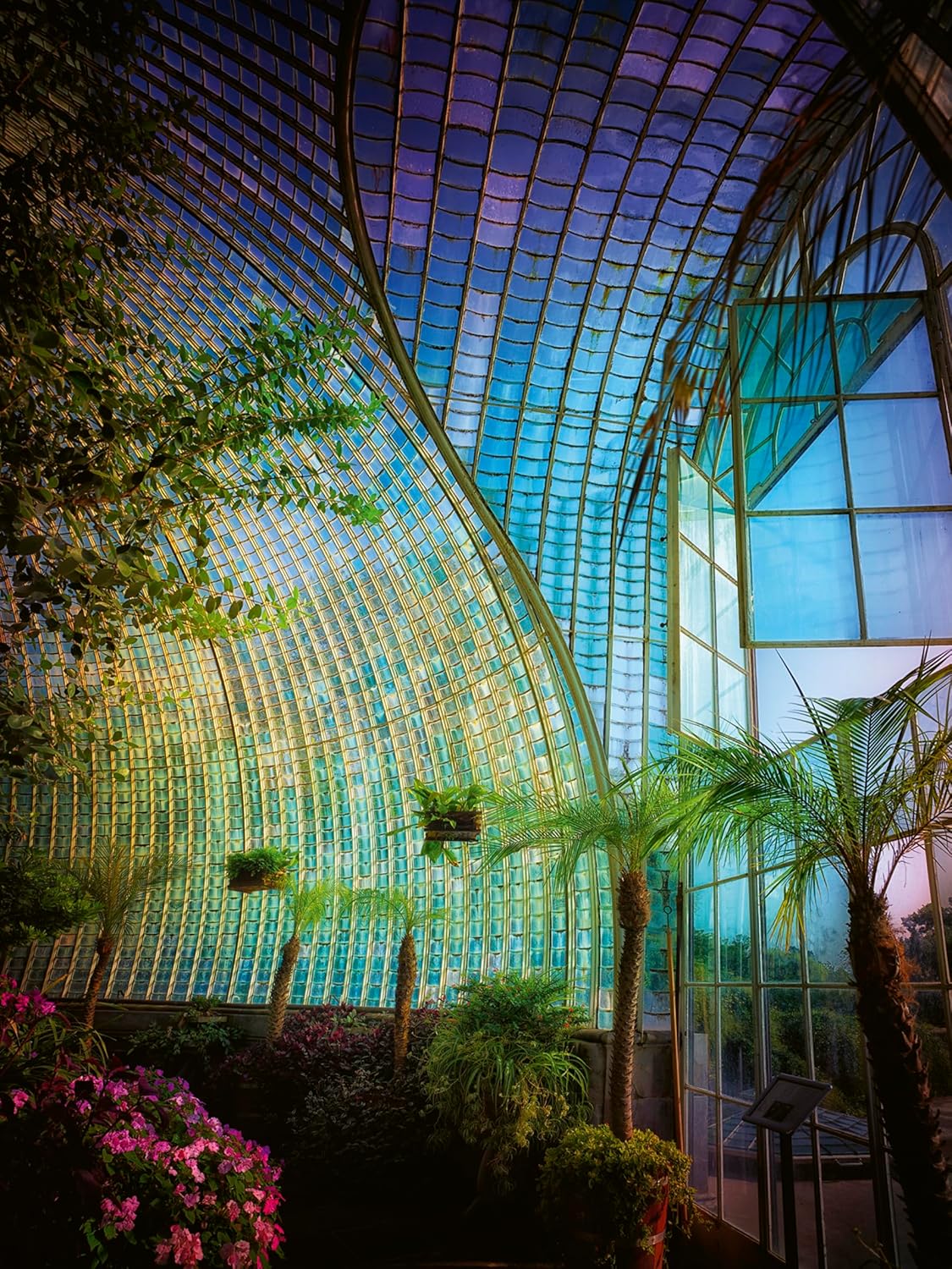 Greenhouses: Cathedrals for Plants      Hardcover – May 12, 2023