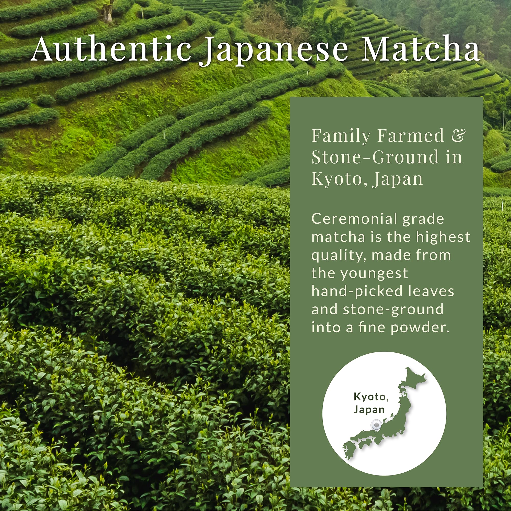Matcha Sunday Ceremonial Grade Matcha - Kyoto Japan - Finely Ground Green Tea Powder - Vibrant Green 50g — view 7