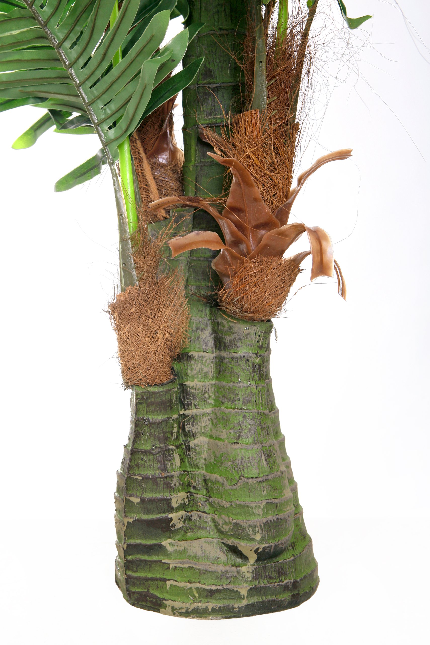 gummibaum erde kaufen Gummibaum Ficus Elastica Robusta Zimmerpflanze Ø40cm ↕170cm