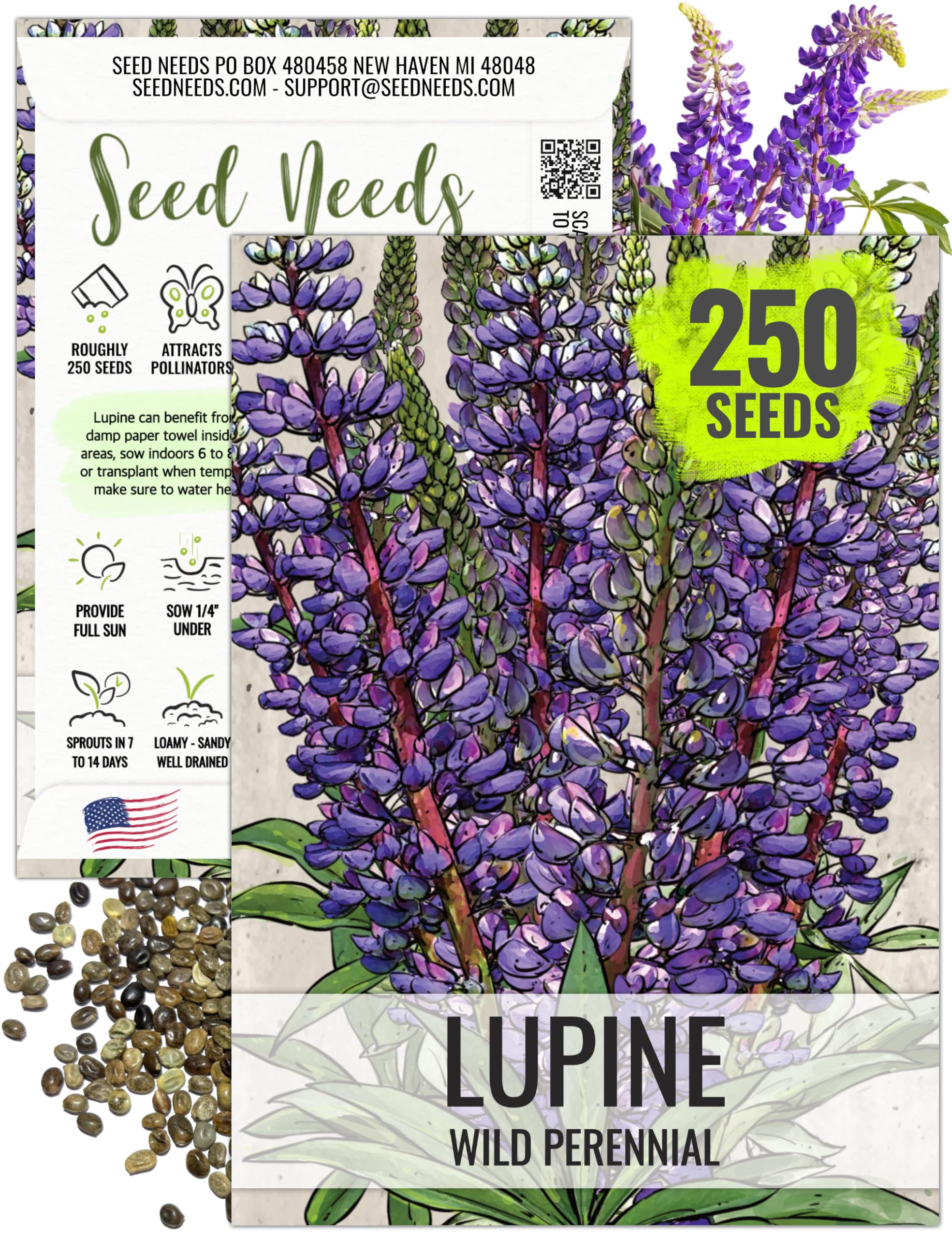 Seed Needs Wild Perennial Lupine Seeds for Planting Heirloom & Open Pollinated Flowers - Attractive Flowers Perfect for a Butterfly Garden to Attract Pollinators (1 Pack)