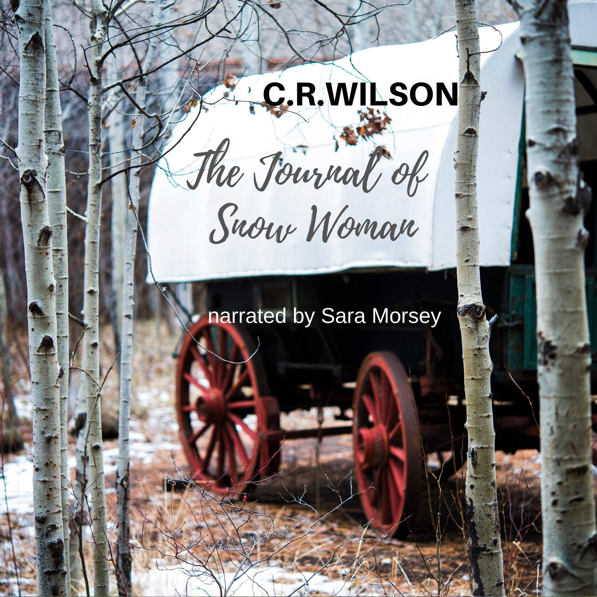 The Journal of Snow Woman