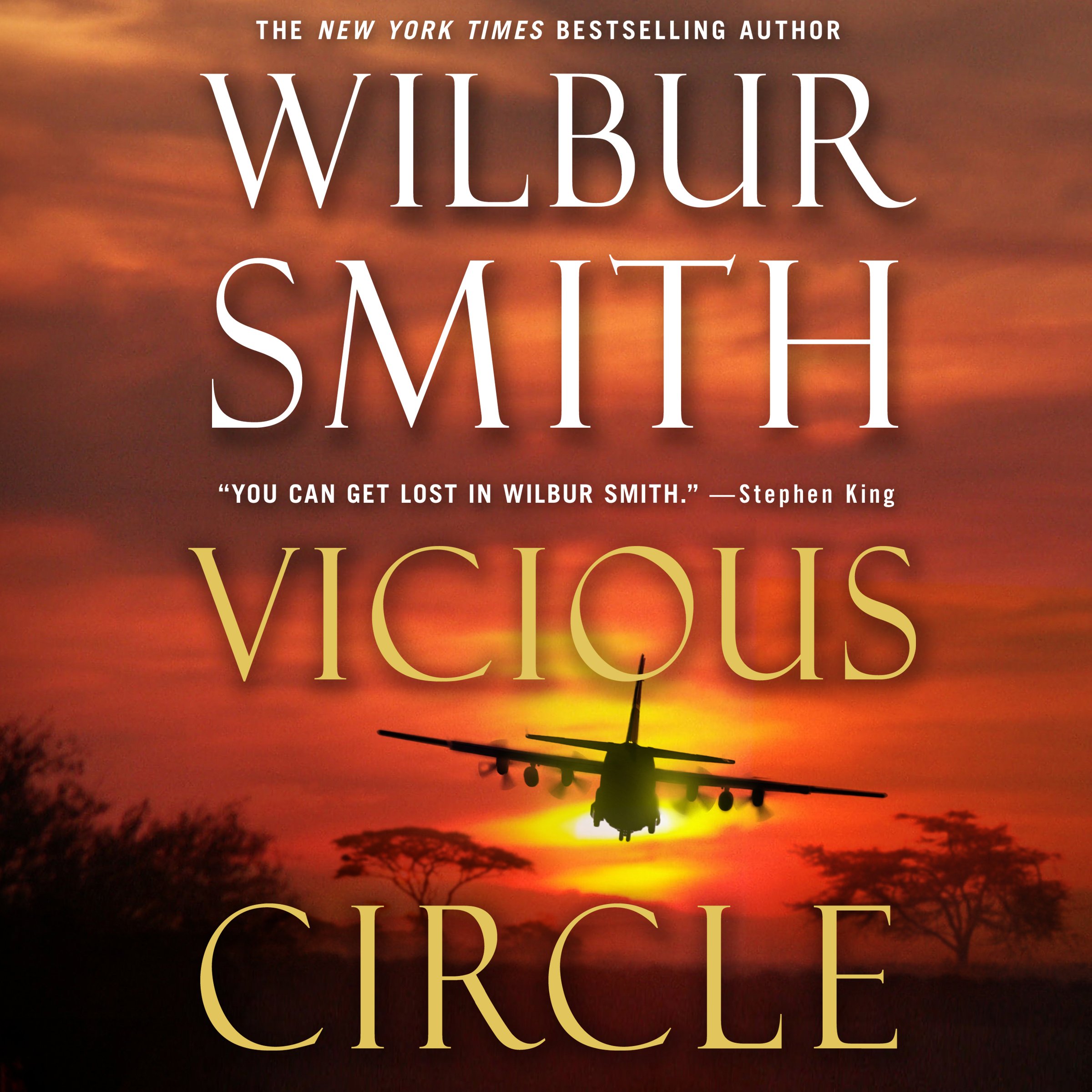 Cover art for Vicious Circle