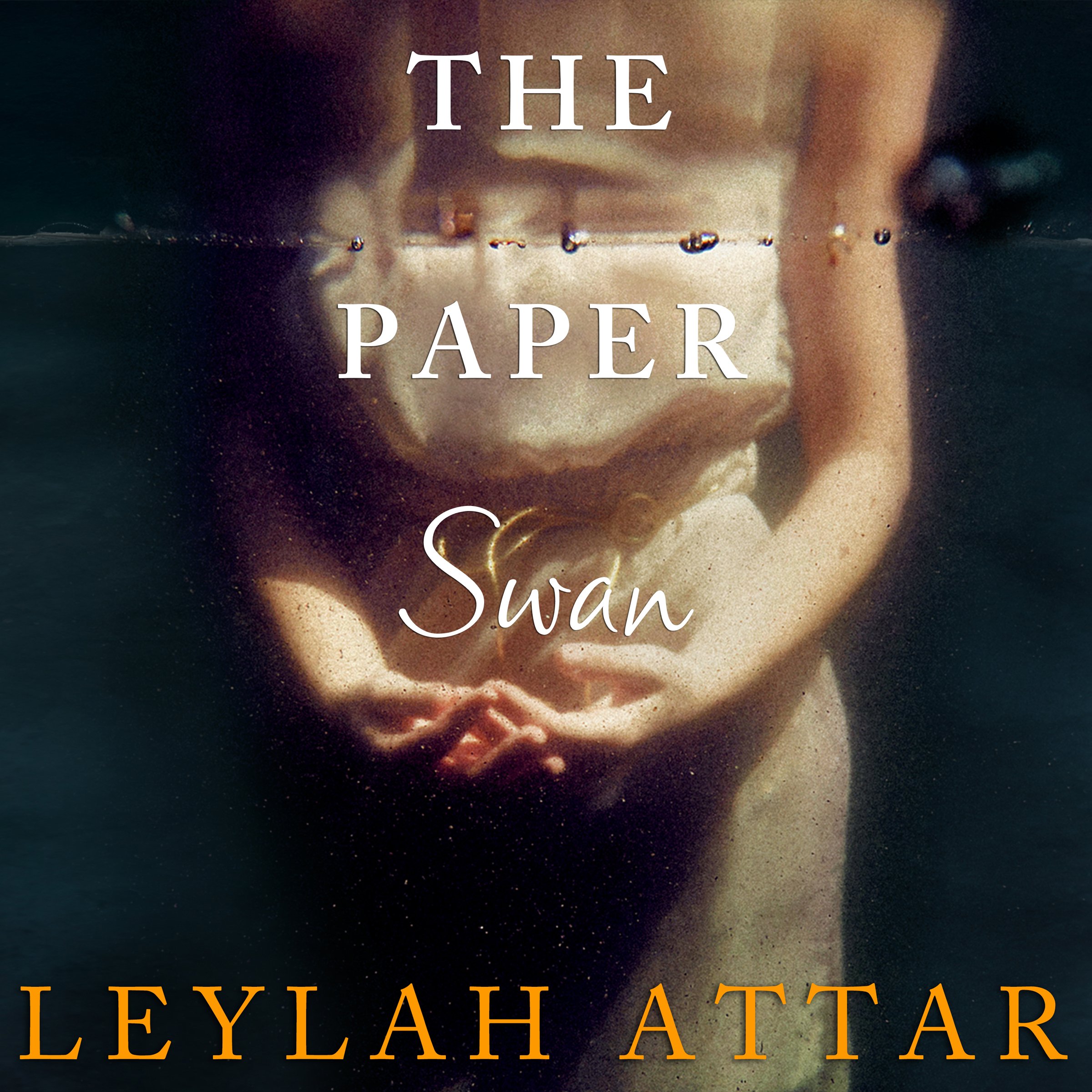 Cover art for The Paper Swan