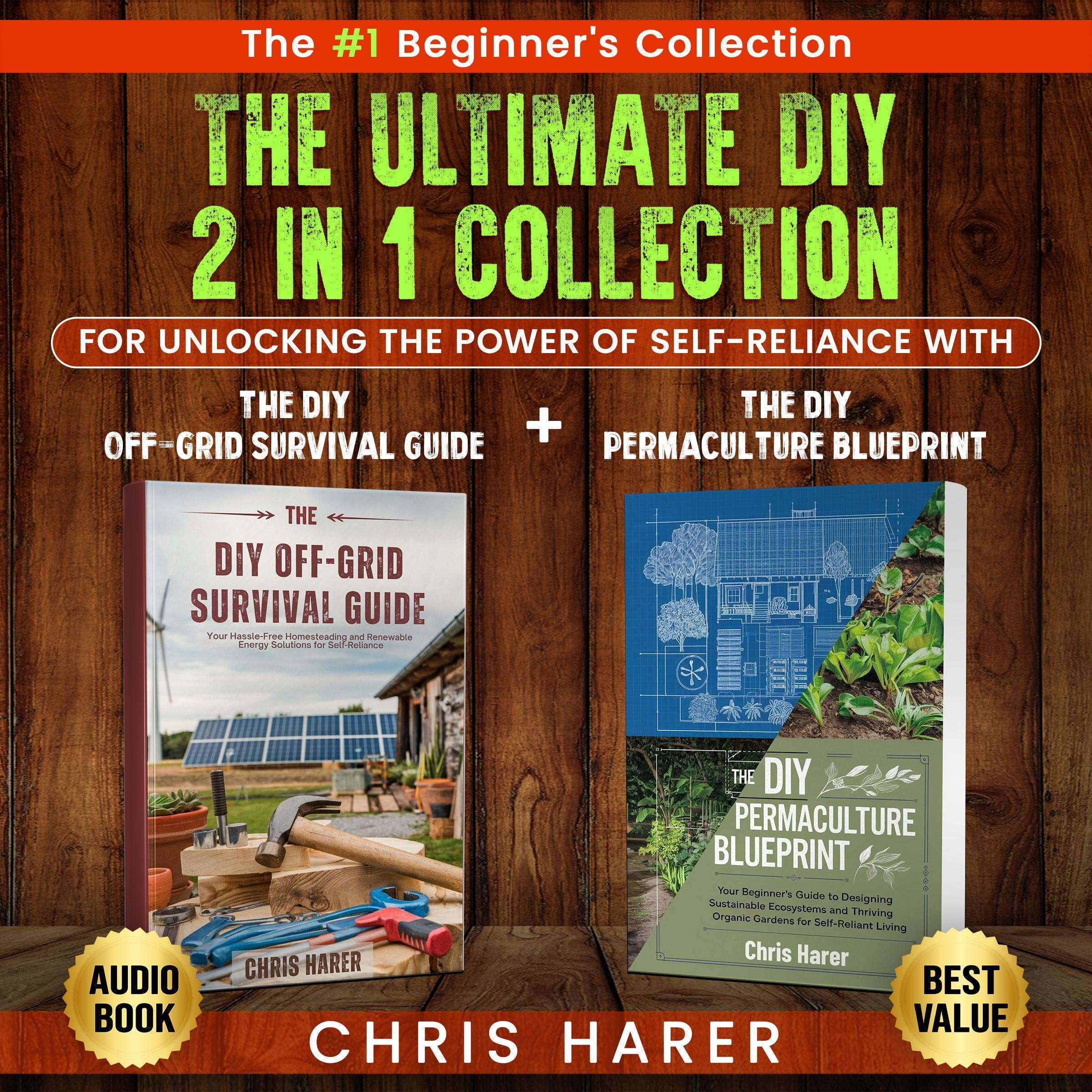 Cover art for The Ultimate DIY 2 in 1 Collection