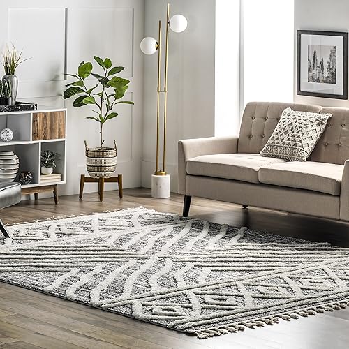 nuLOOM Pamela - Alfombra contemporánea con borlas, 4 x 6, color gris