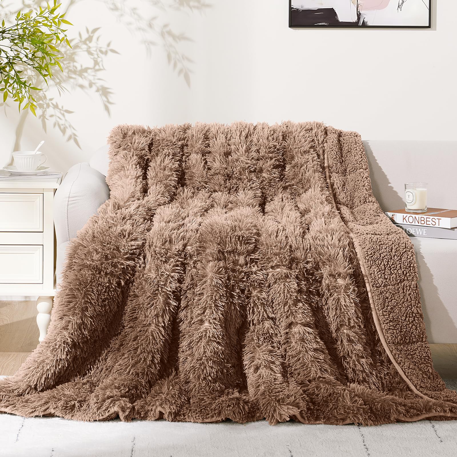 Cottonblue Weighted Blanket 20lbs for Adults Queen Size 60x80in Soft Sherpa