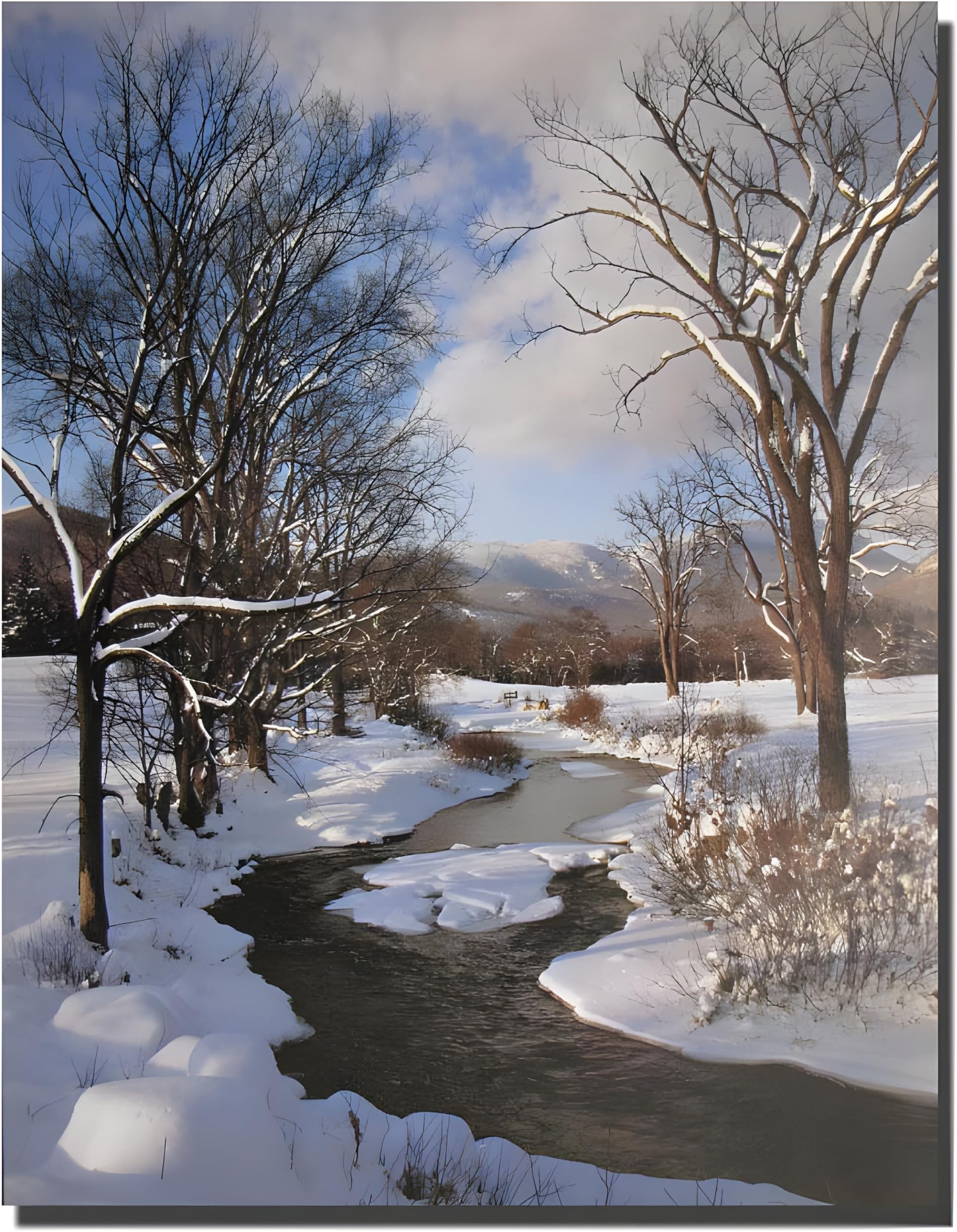Scenery Winter Stream with Snow Landscape Wall Decor Art Print Poster (16x20)