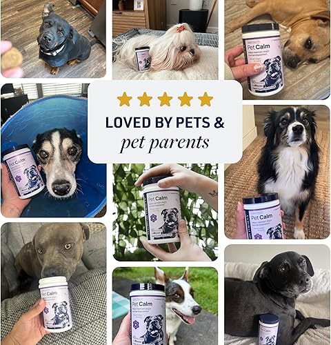 Miniatura 9 de Veterinary Formula Pet Calm 60 unidades  Masticables calmantes formulados por veterinarios para perros con L-teanina, L-triptófano para apoyo al