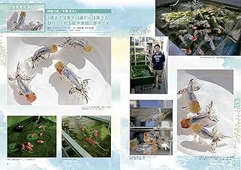 きんぎょ生活 No.7 |本 | 通販 | Amazon