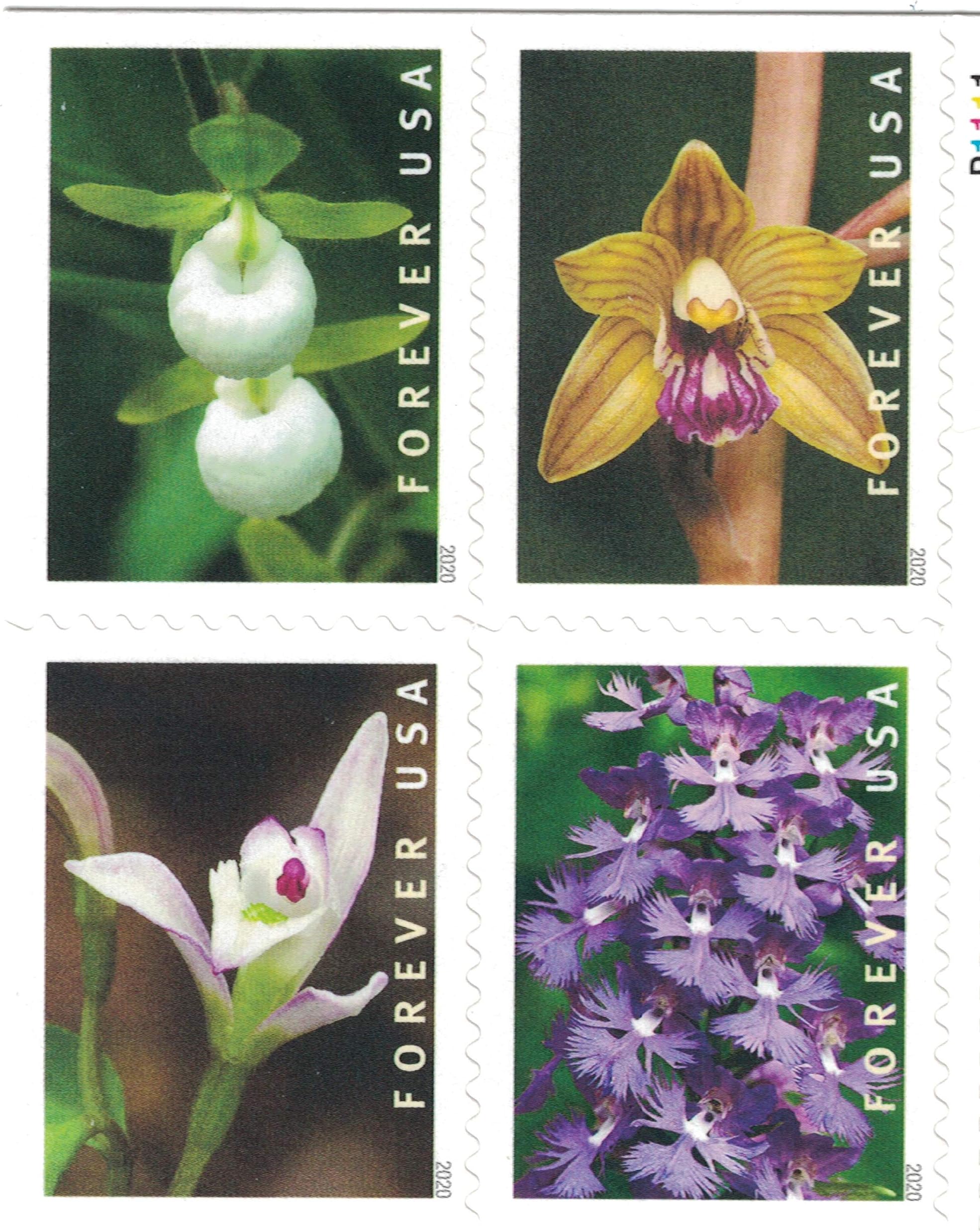 Wild Orchids Flowers (Booklet of 20) First-Class Mail Forever Postage Stamps 2020 Scott 5445-5454