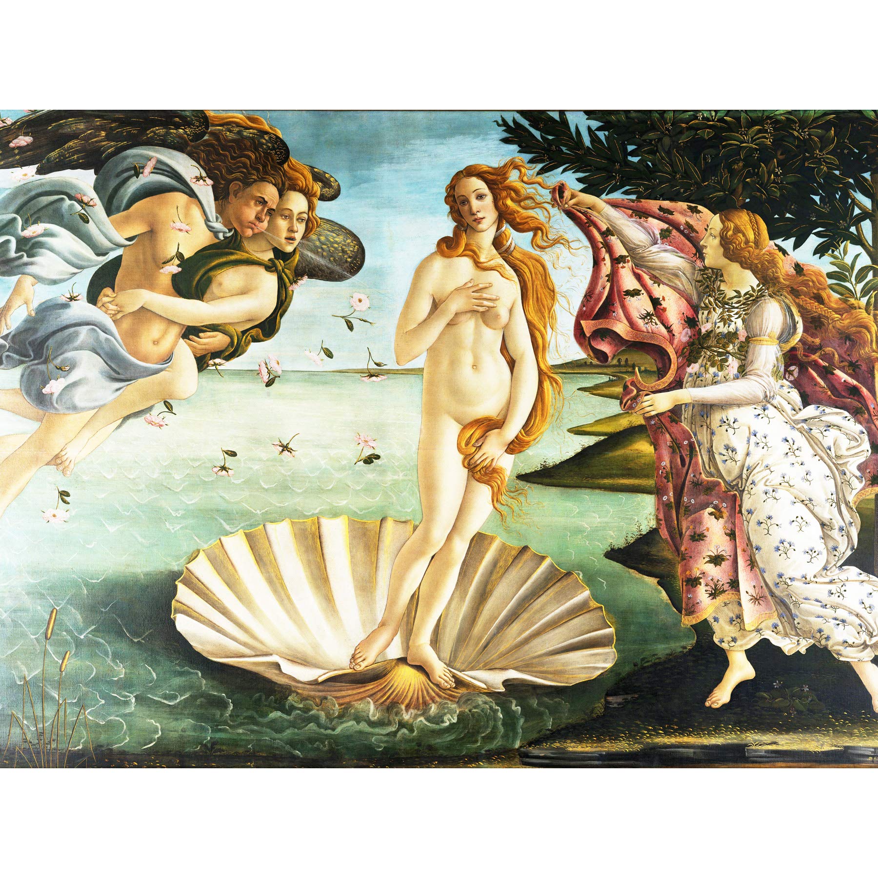 Wee Blue Coo Painting Sea Shell Goddess Birth Venus Botticelli Art Canvas Print