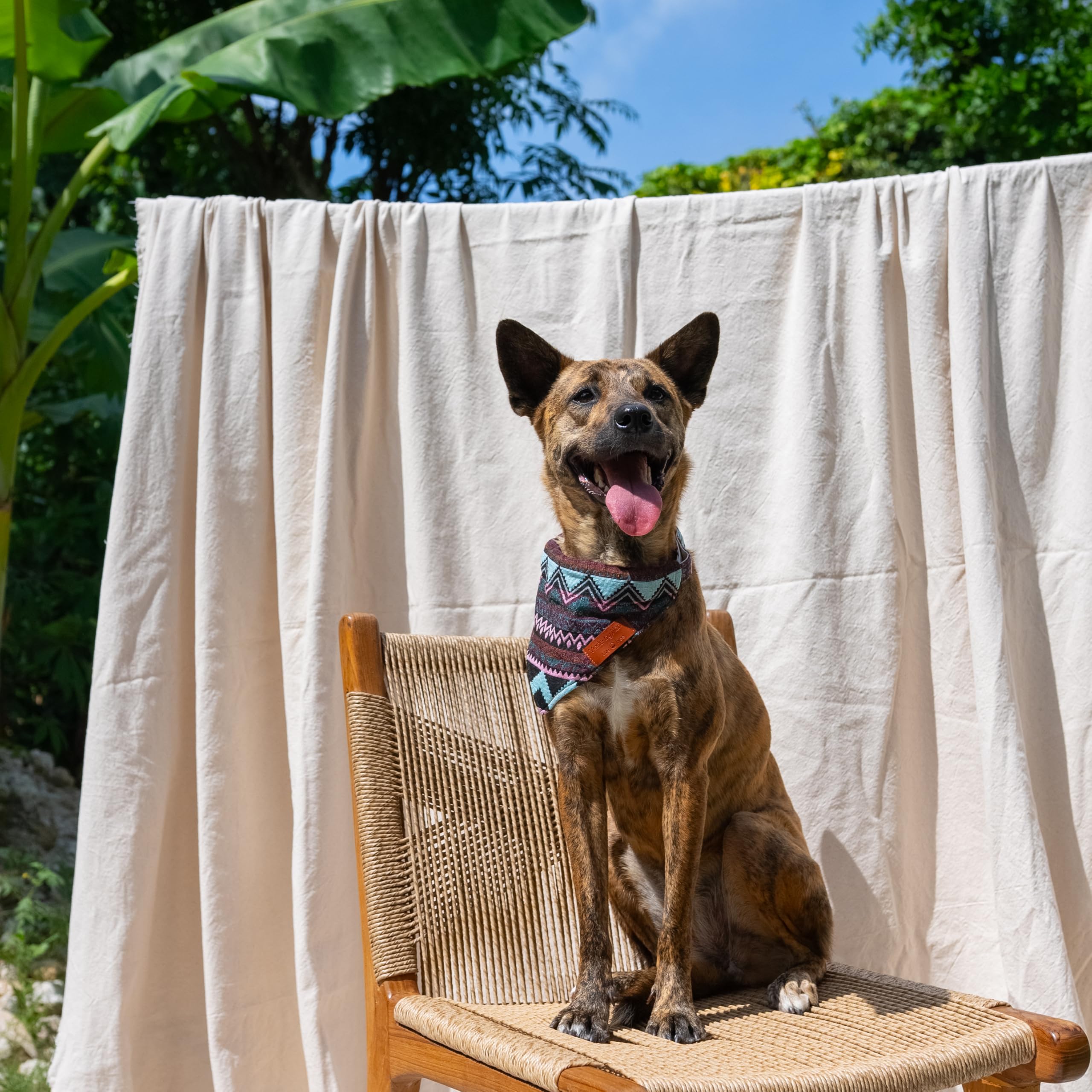 Made by Nami Boho Dog Bandana in Various Sizes for Small and Large Dogs (Purple, L) - Image 2