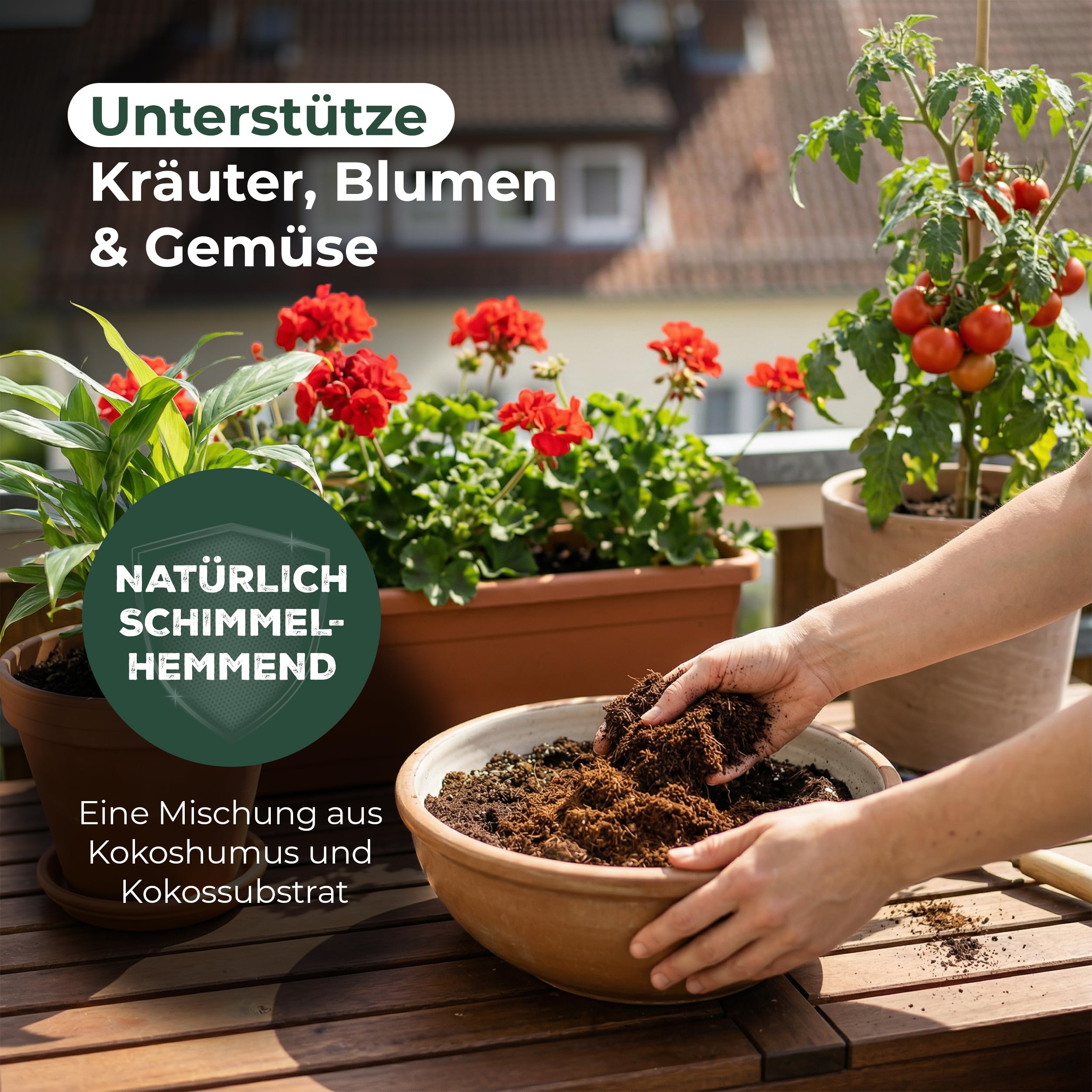 48x Blumenerde | Humuserde | Anzuchterde ohne Dünger | 288 Liter | Kokosfaser Erde Orchidee | Cocos Humus | 650g 20x5,5x10cm | Torferde Garten Kokosnuss Erde Substrat Zimmerpflanzen Kokoserde kaufen
