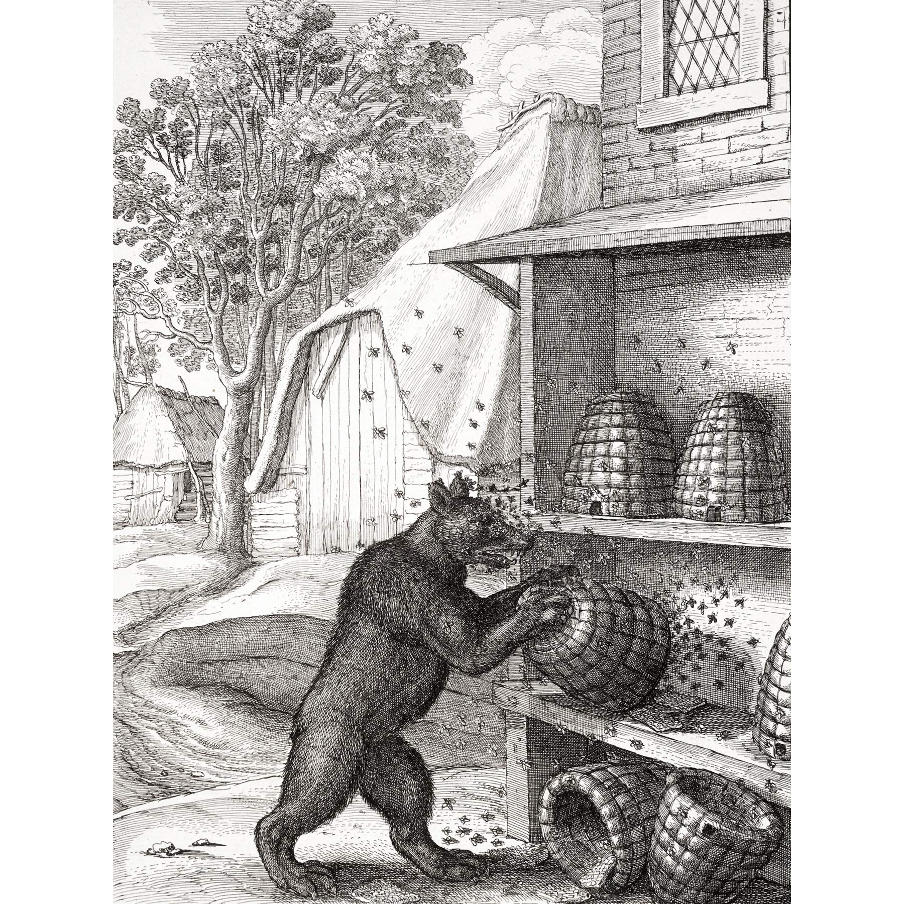 Artery8 Hollar The Bear And Honey Bees Aesop Illustration Large Wall Art Poster Print Thick Paper 18X24 Inch
