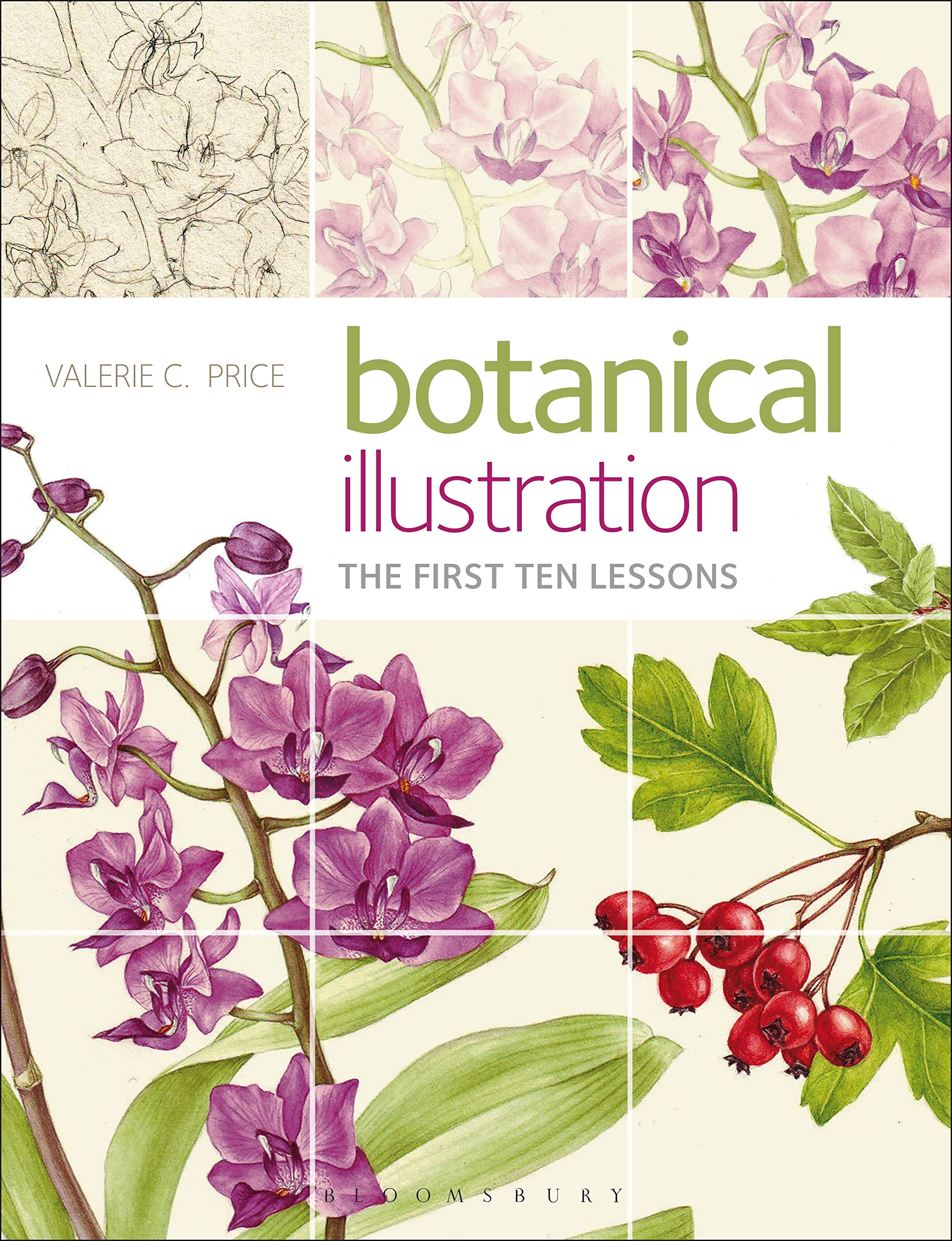 Botanical Illustration: The first ten lessons