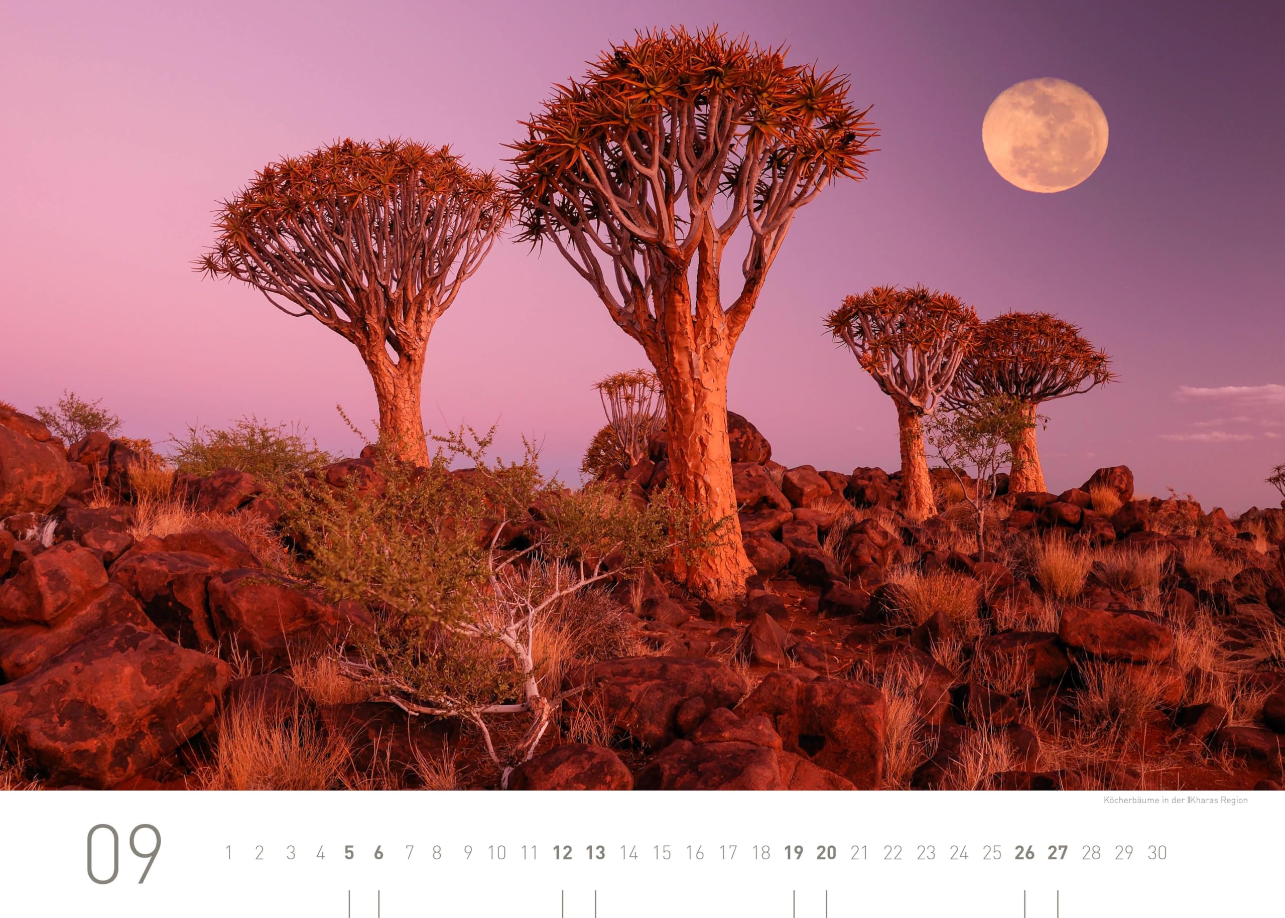 Namibia Exklusivkalender 2026 (360° Exklusivkalender 2026: Limited Edition (70 x 50 cm))