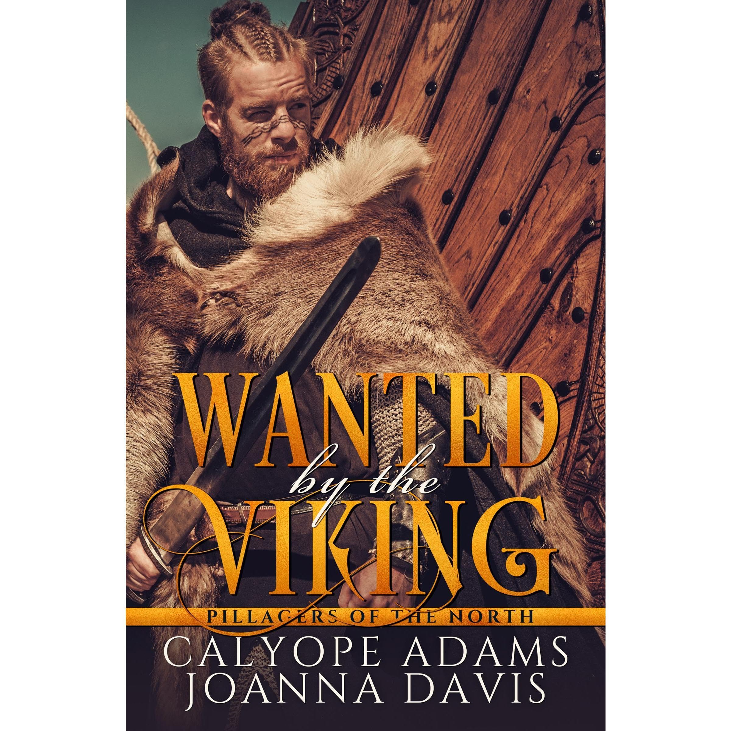 Wanted By The Viking