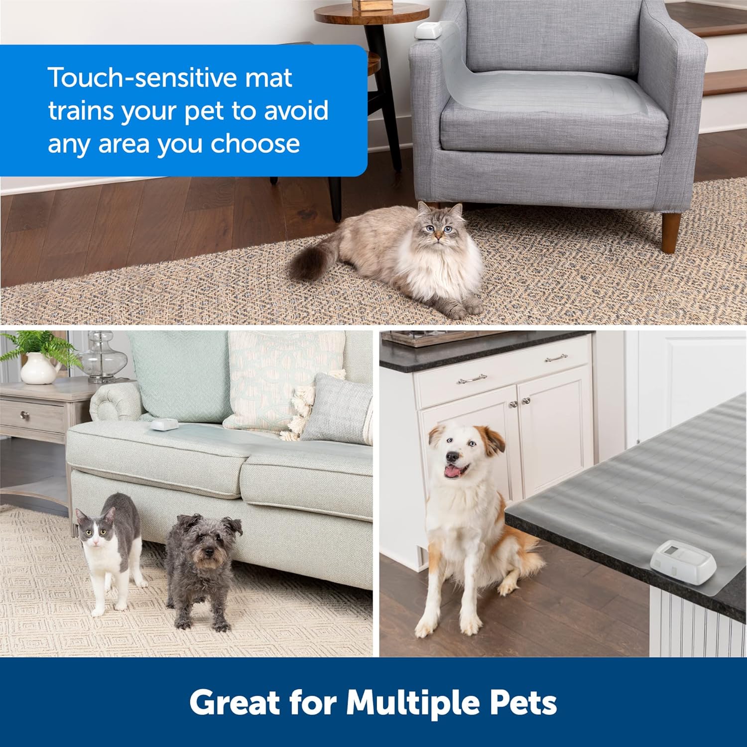 PetSafe ScatMat Indoor Training Mat, 7 Correction Modes, Protect Your Furniture, Training Tool for Dogs and Cats, Medium Size Mat (30 in X 16 in) - Pet Proof Your Home - Battery-Operated Mat : PetSafe : Pet Supplies