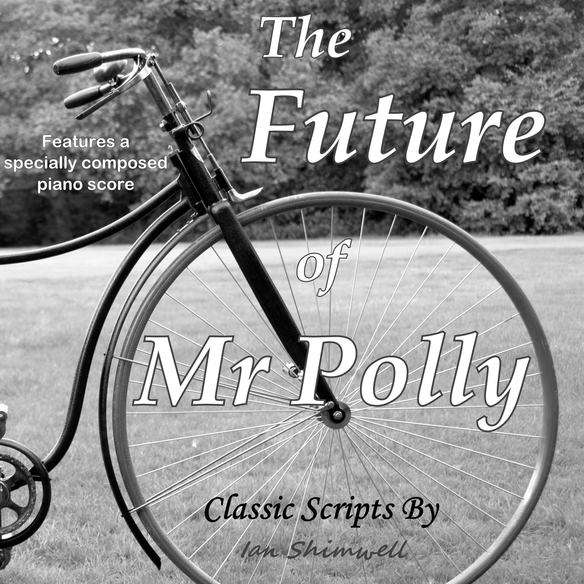 Cover art for The Future of Mr Polly
