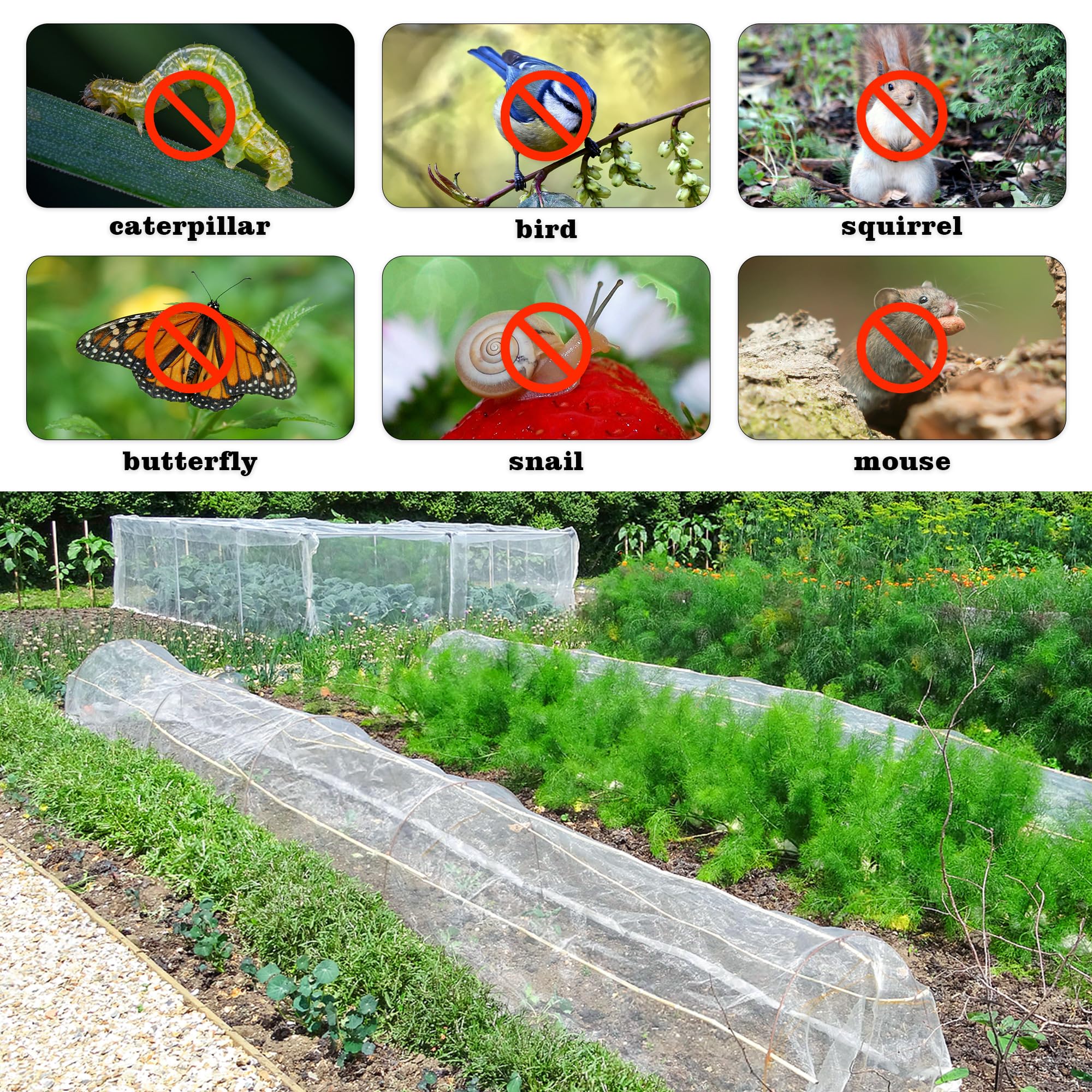 Insect Garden Mesh Netting,2m x 10m Fine Mesh Netting Anti Bird Butterfly Net for Vegetables Plants Fruits Flowers Protection (2x10M) - Image 4
